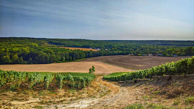 Scenic parcel of land in Codegua with green fields.
