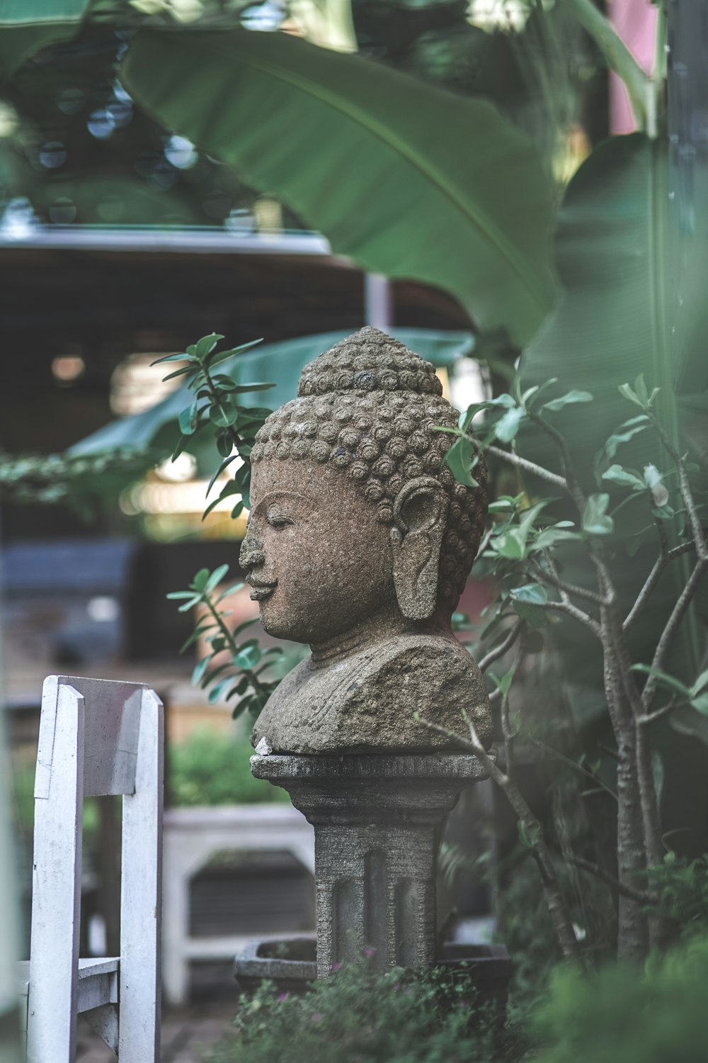 brown concrete statue near green leaf tree during daytime