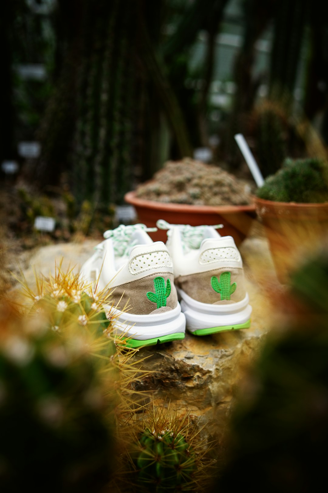 white and green sneakers on brown dried leaves