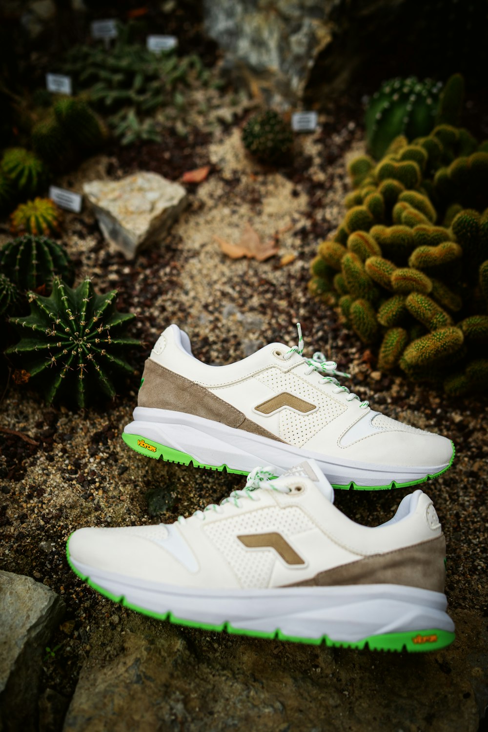 white nike athletic shoes beside green pine cone