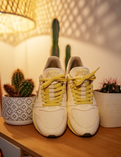 A stylish pair of Yama shoes displayed on a rustic wooden bench with natural light.
