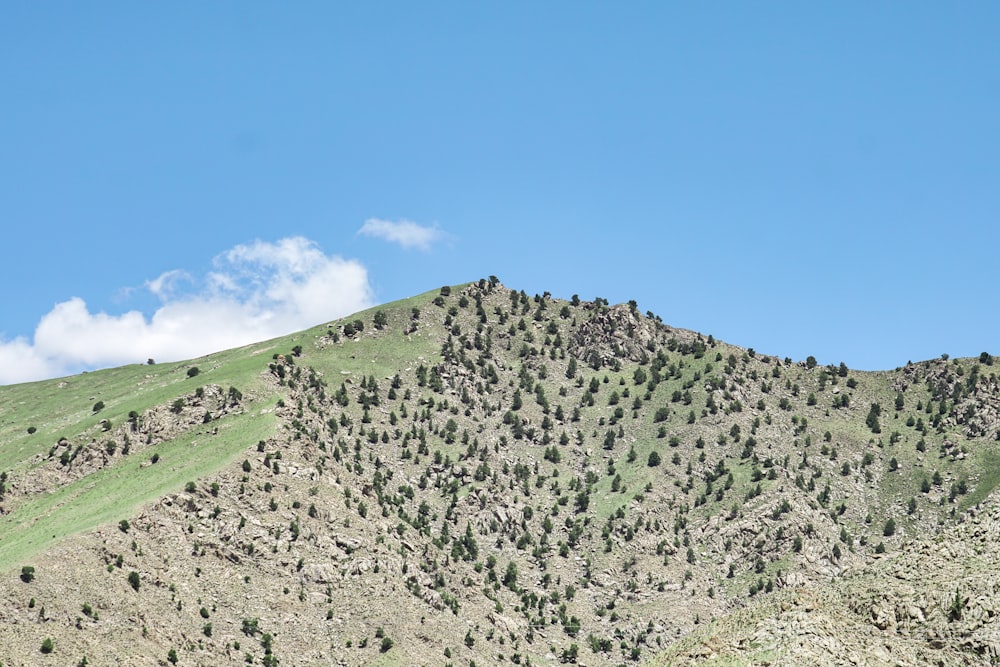 Montaña verde y gris bajo el cielo azul durante el día