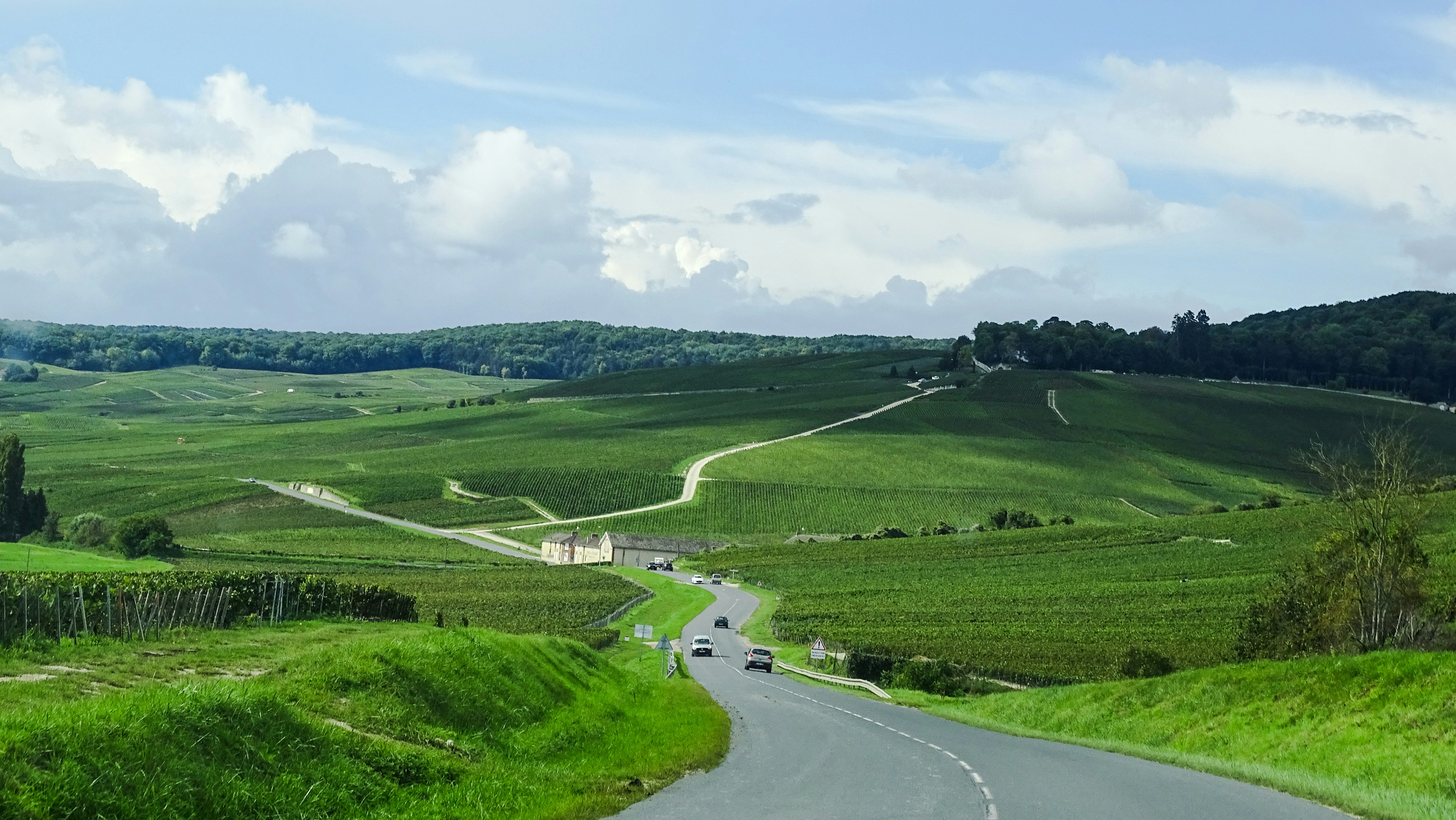 cars on road in between green grass field under white clouds during daytime