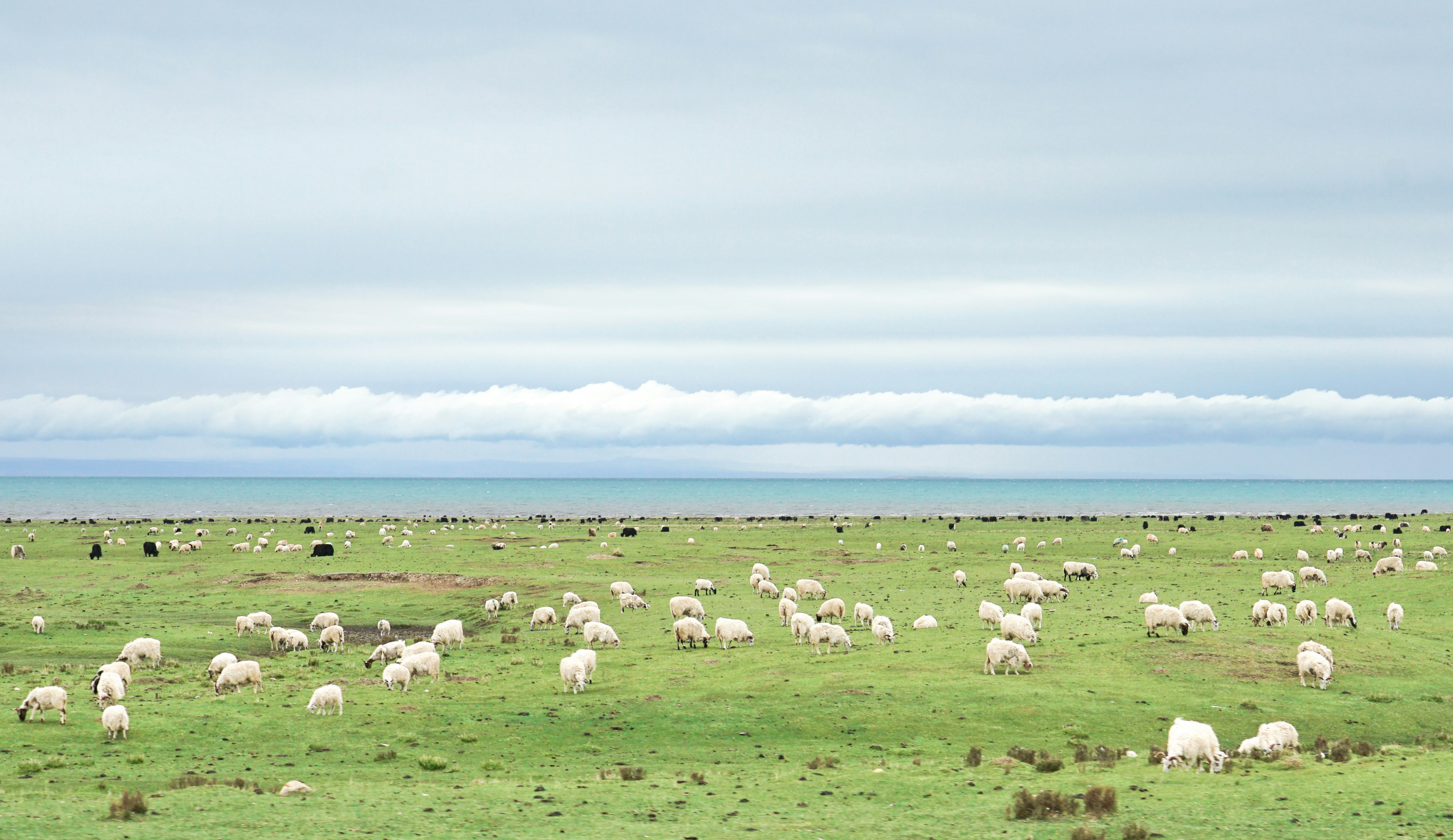 Photo by juniperphoton