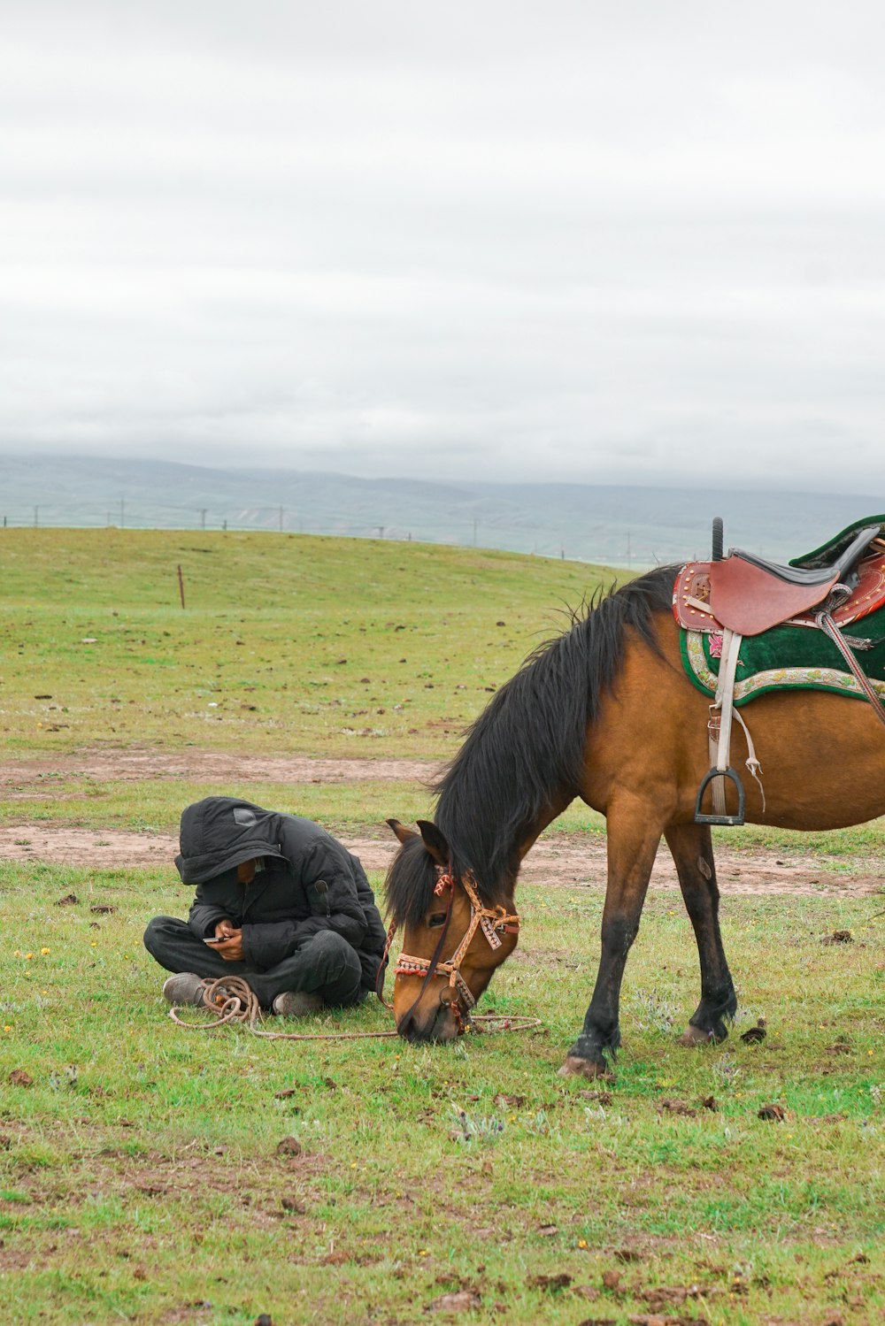 brown horse on green grass field during daytime