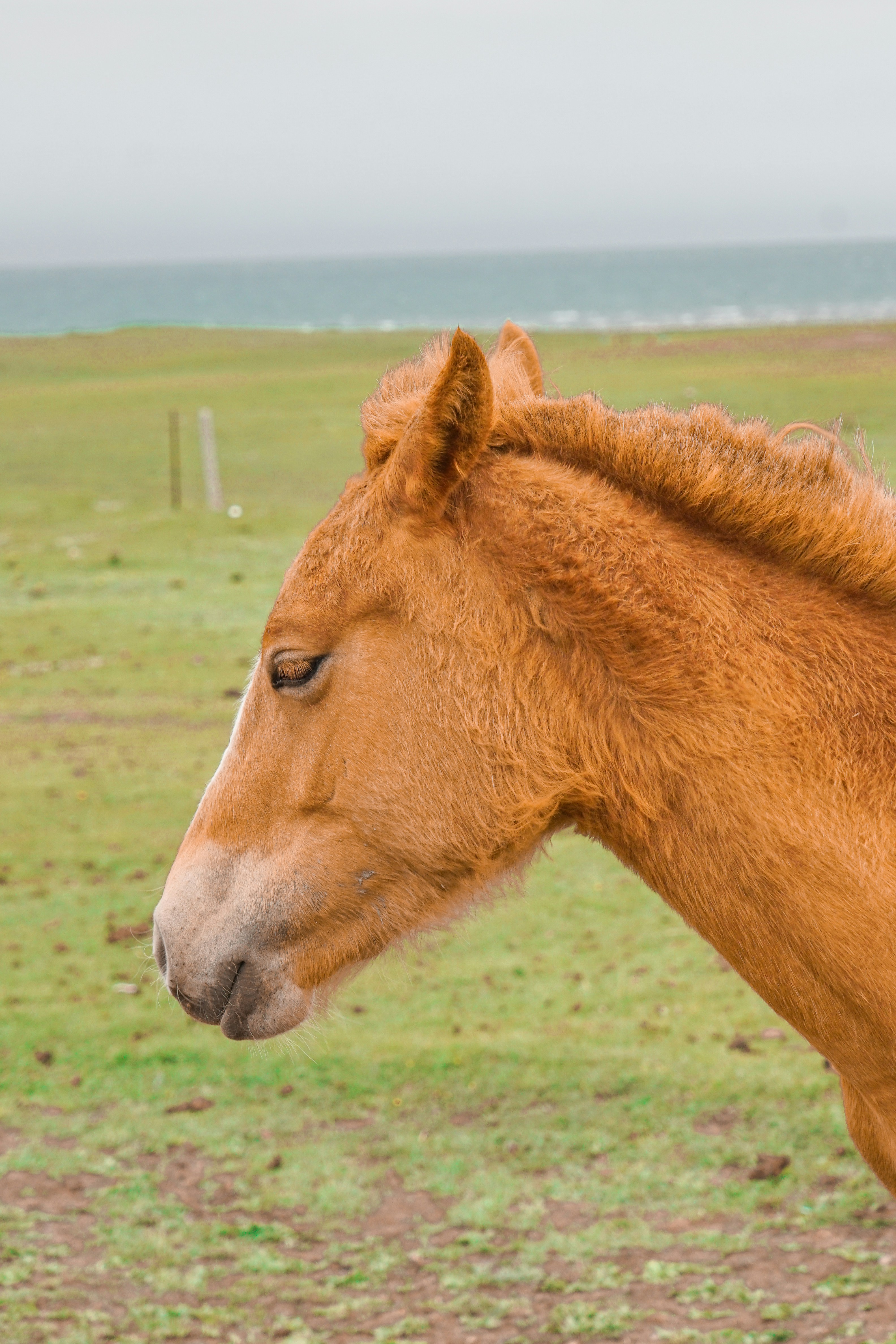 Photo by juniperphoton