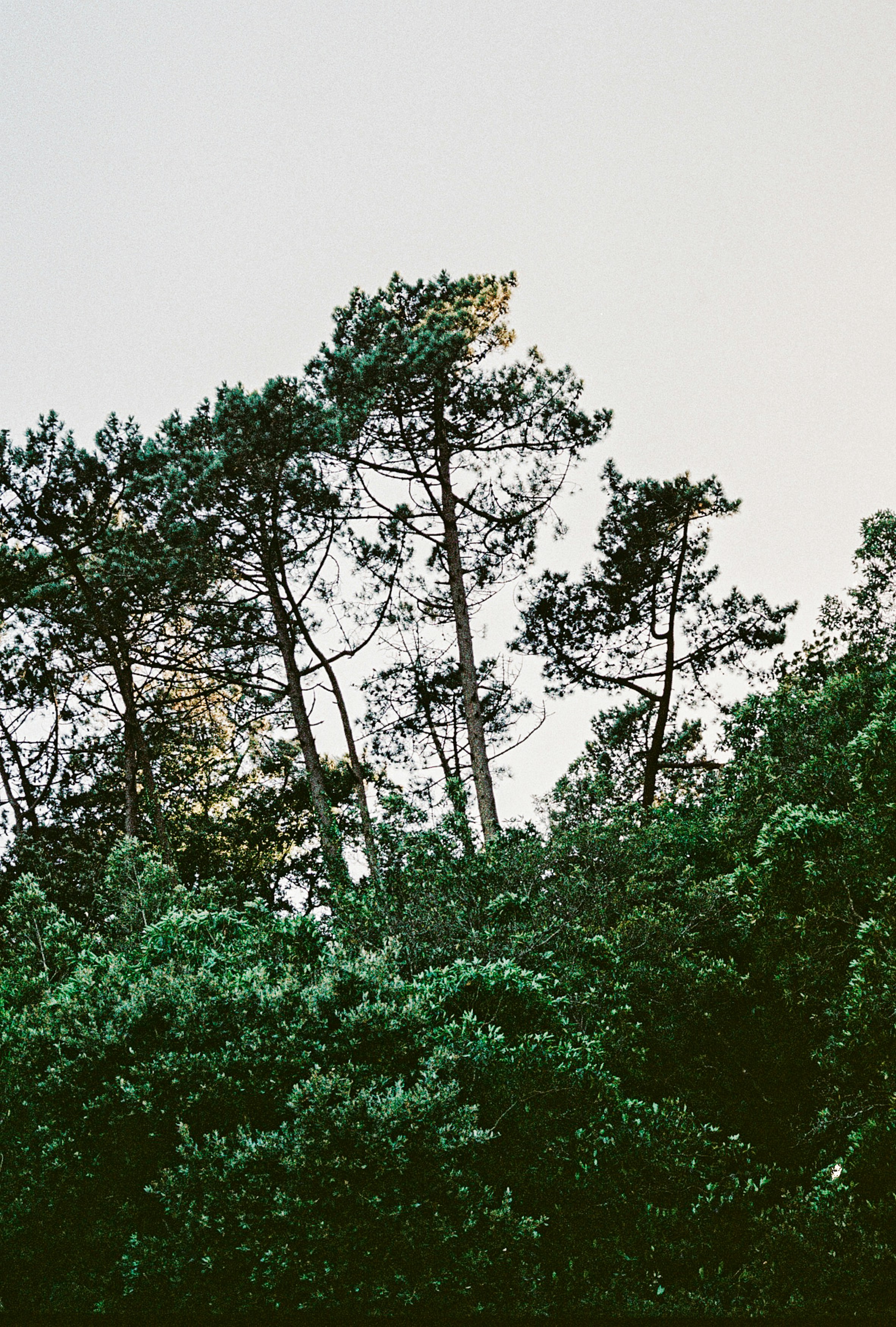 Photo by joanacabreu