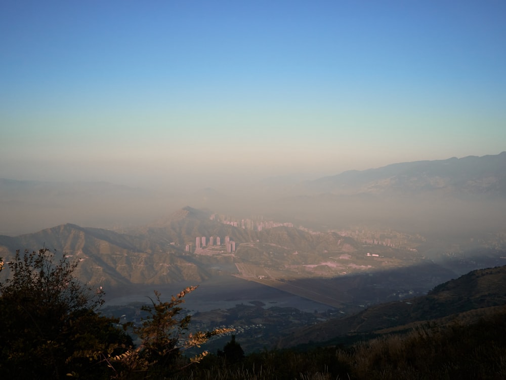 green trees on mountain during daytime