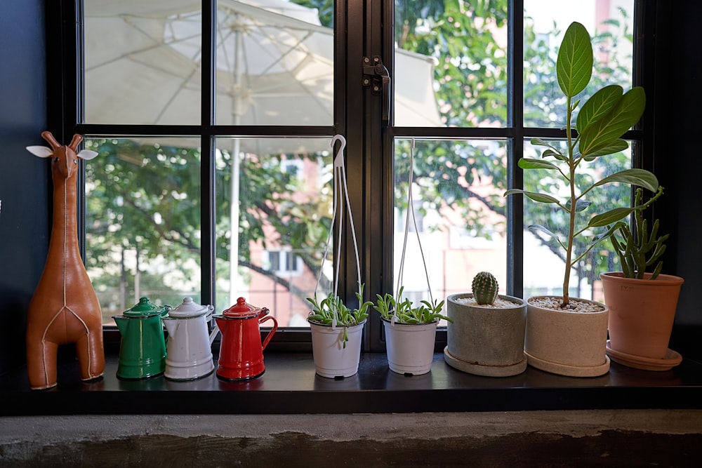 green potted plants on window