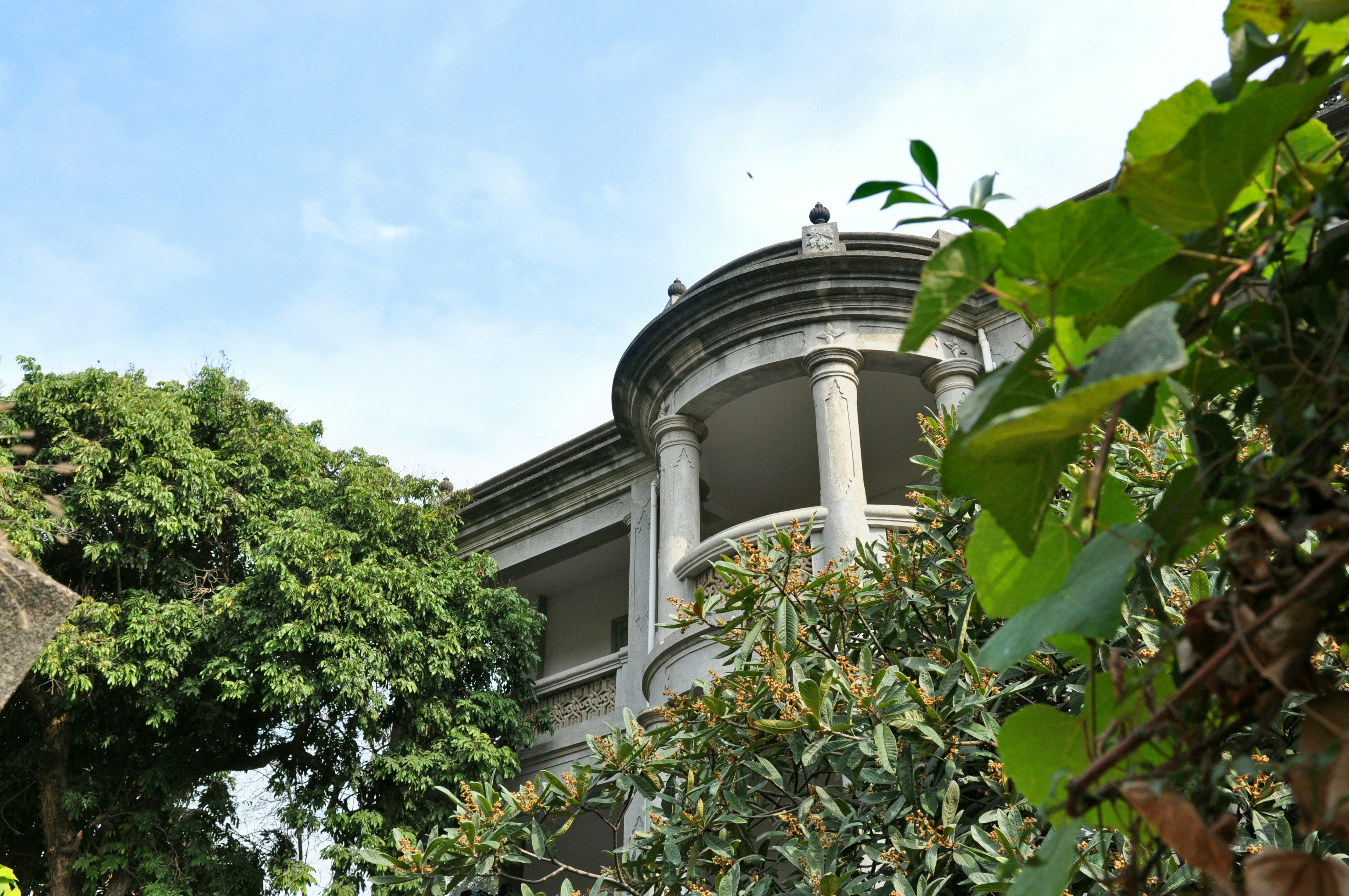 Photo by tommaomaoer