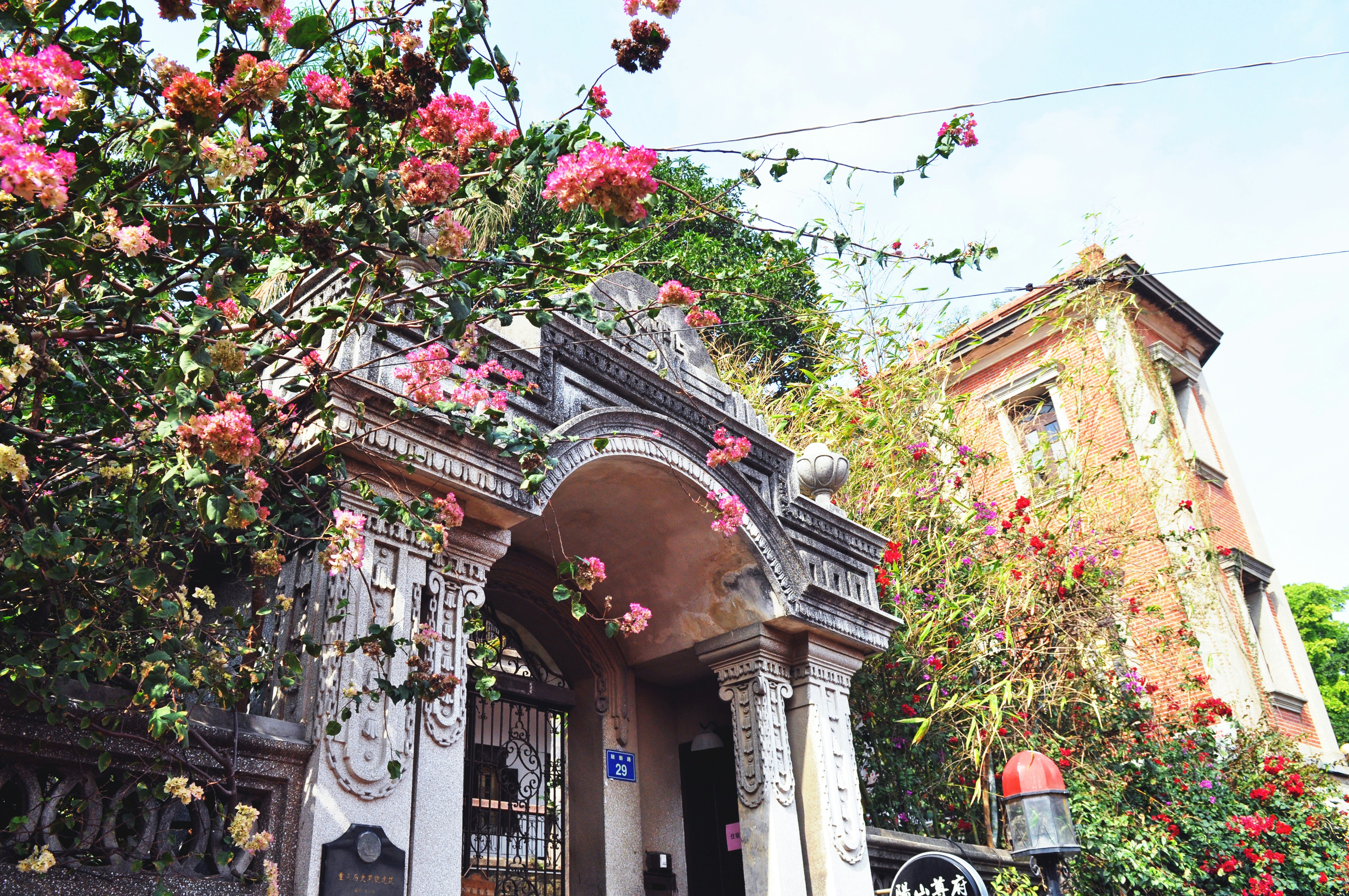 Photo by tommaomaoer