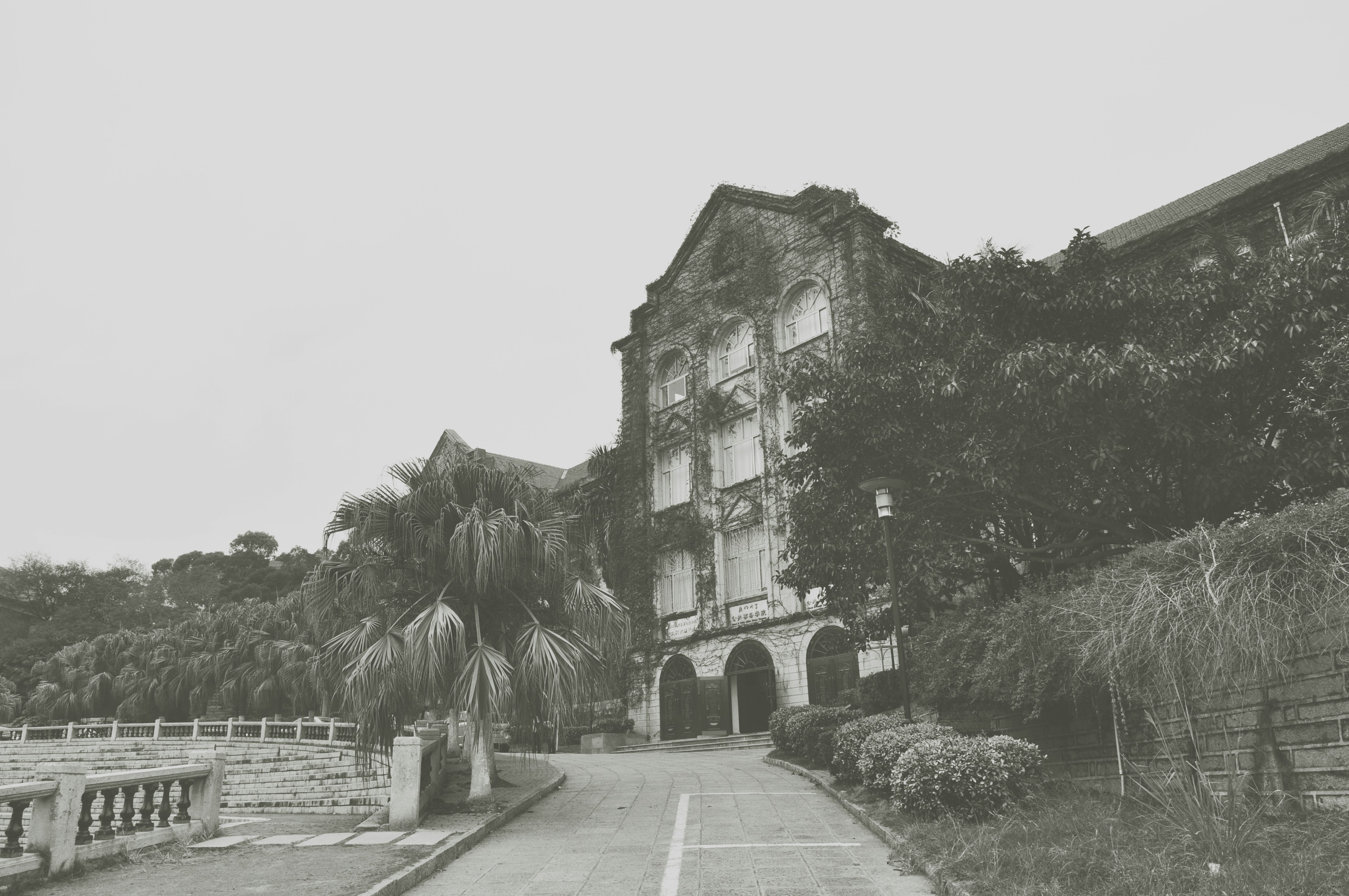 Photo by tommaomaoer