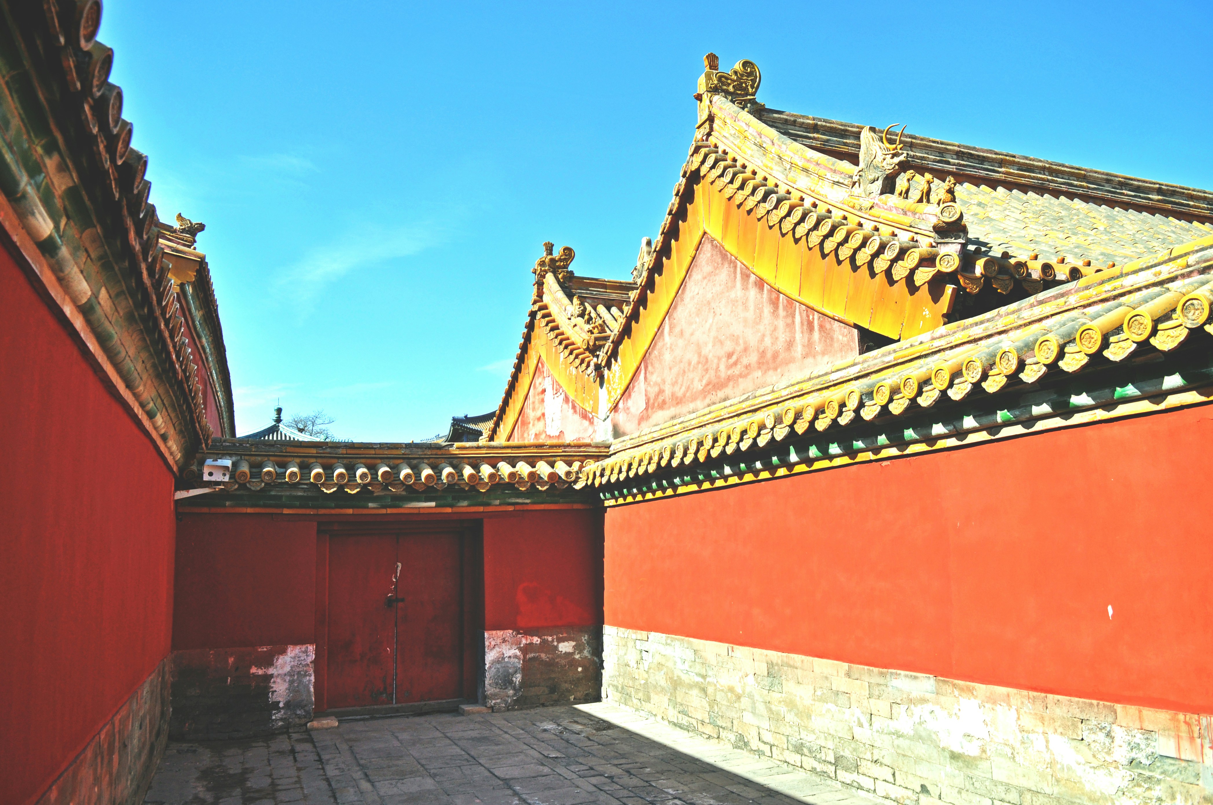 Photo by tommaomaoer