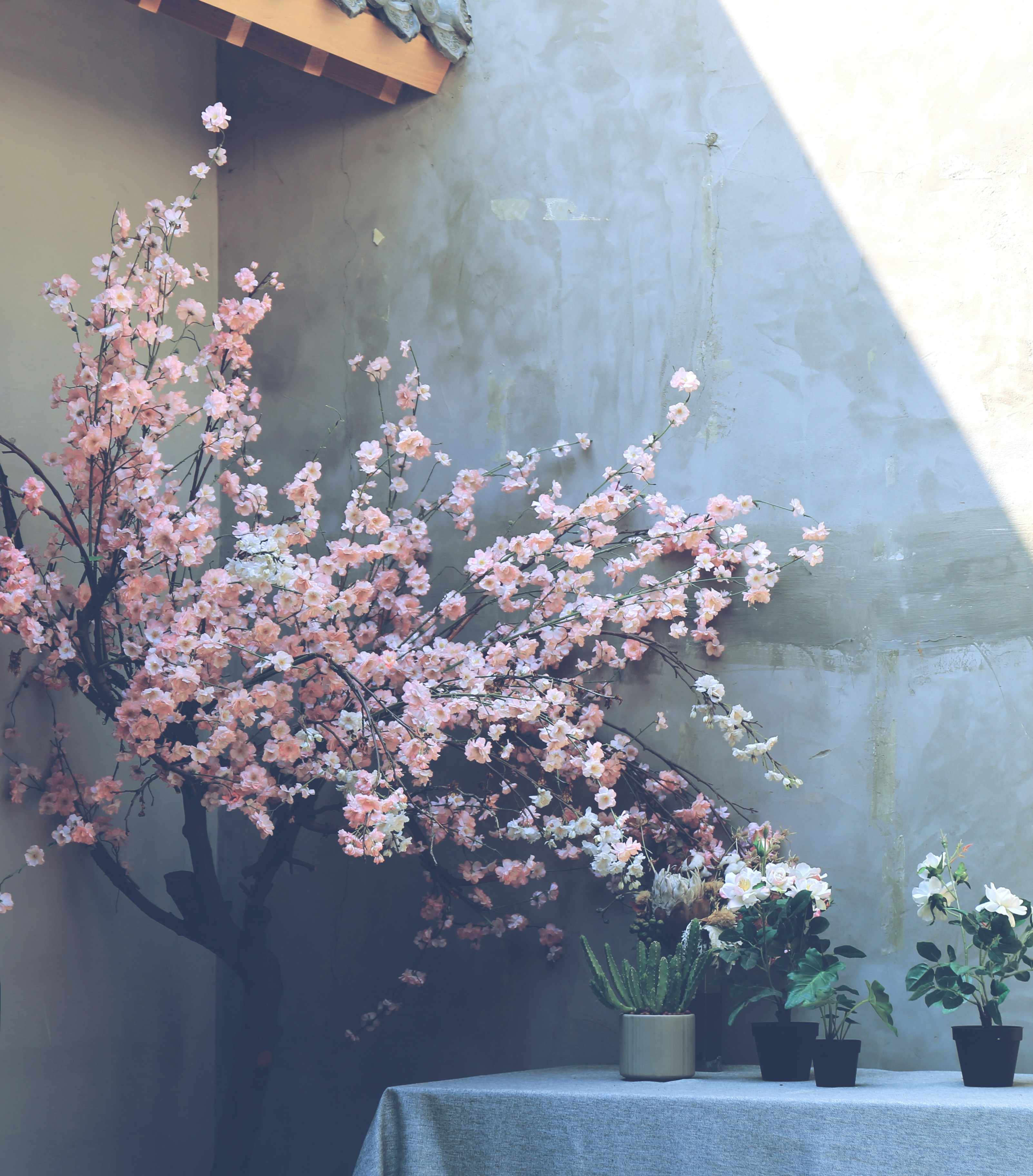 Photo by tommaomaoer