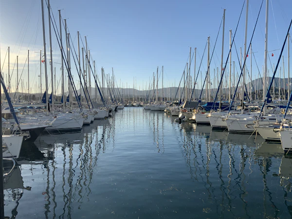 Boats docked at marina