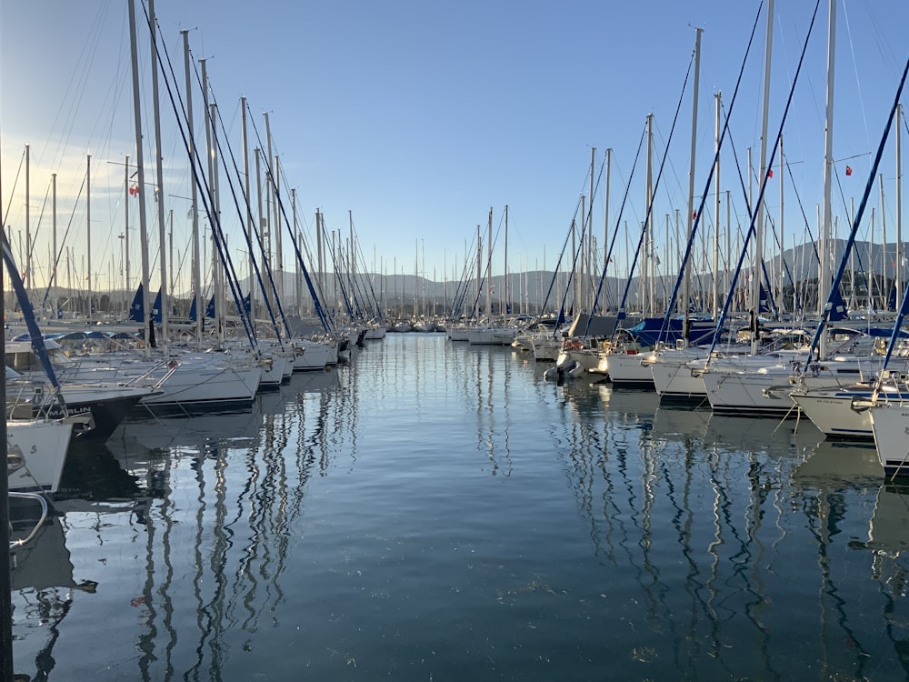 white and blue boats on dock during daytime