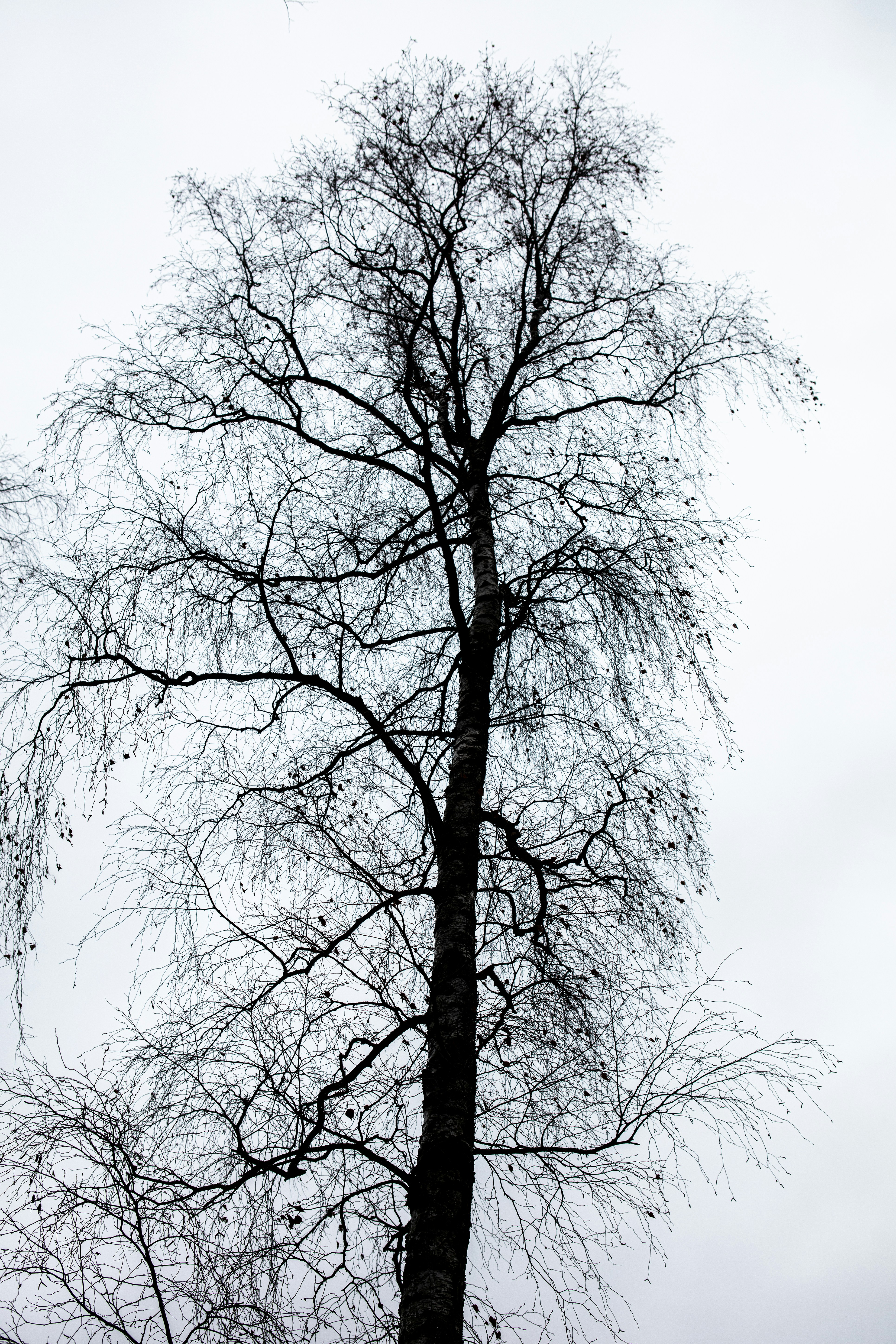 Photo by wilhelmgunkel