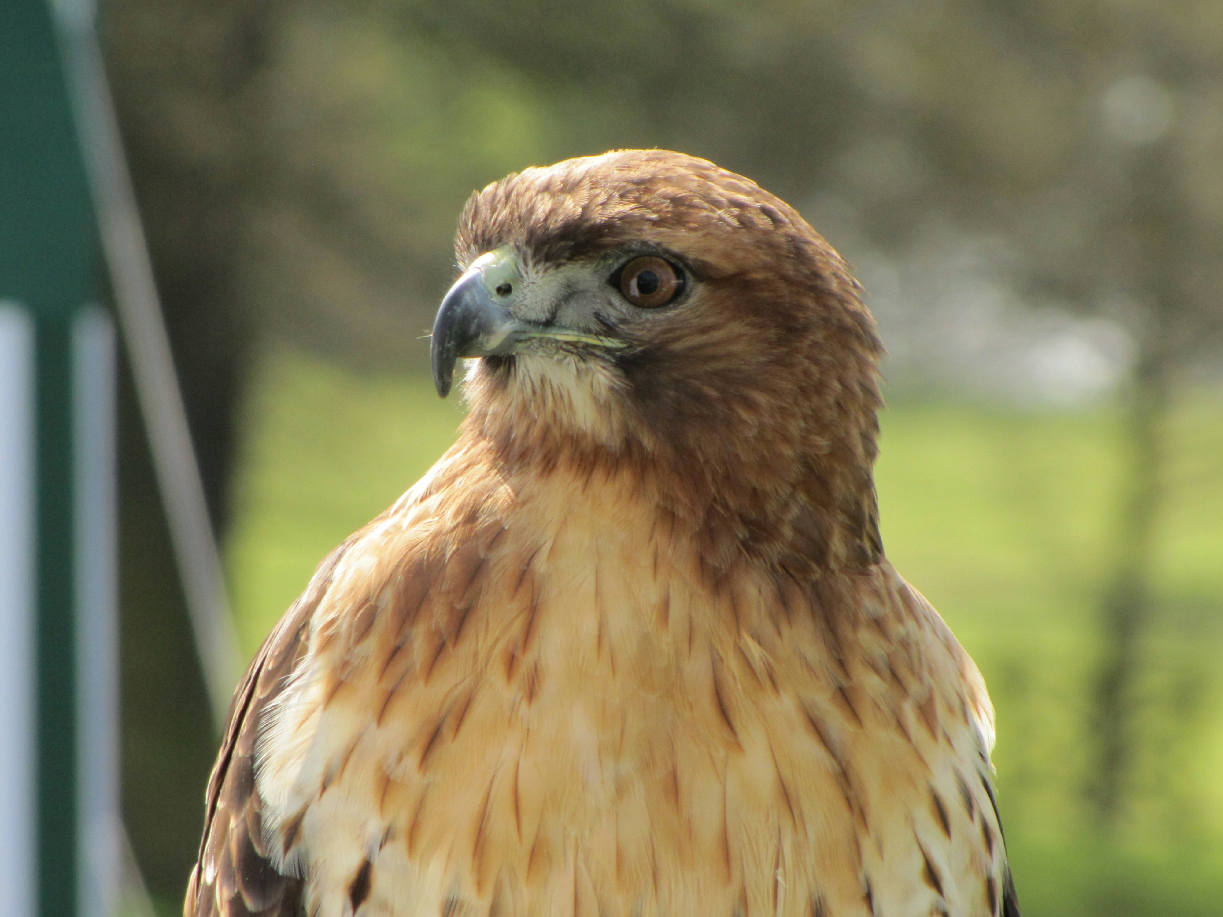 Photo by jackie_ford50