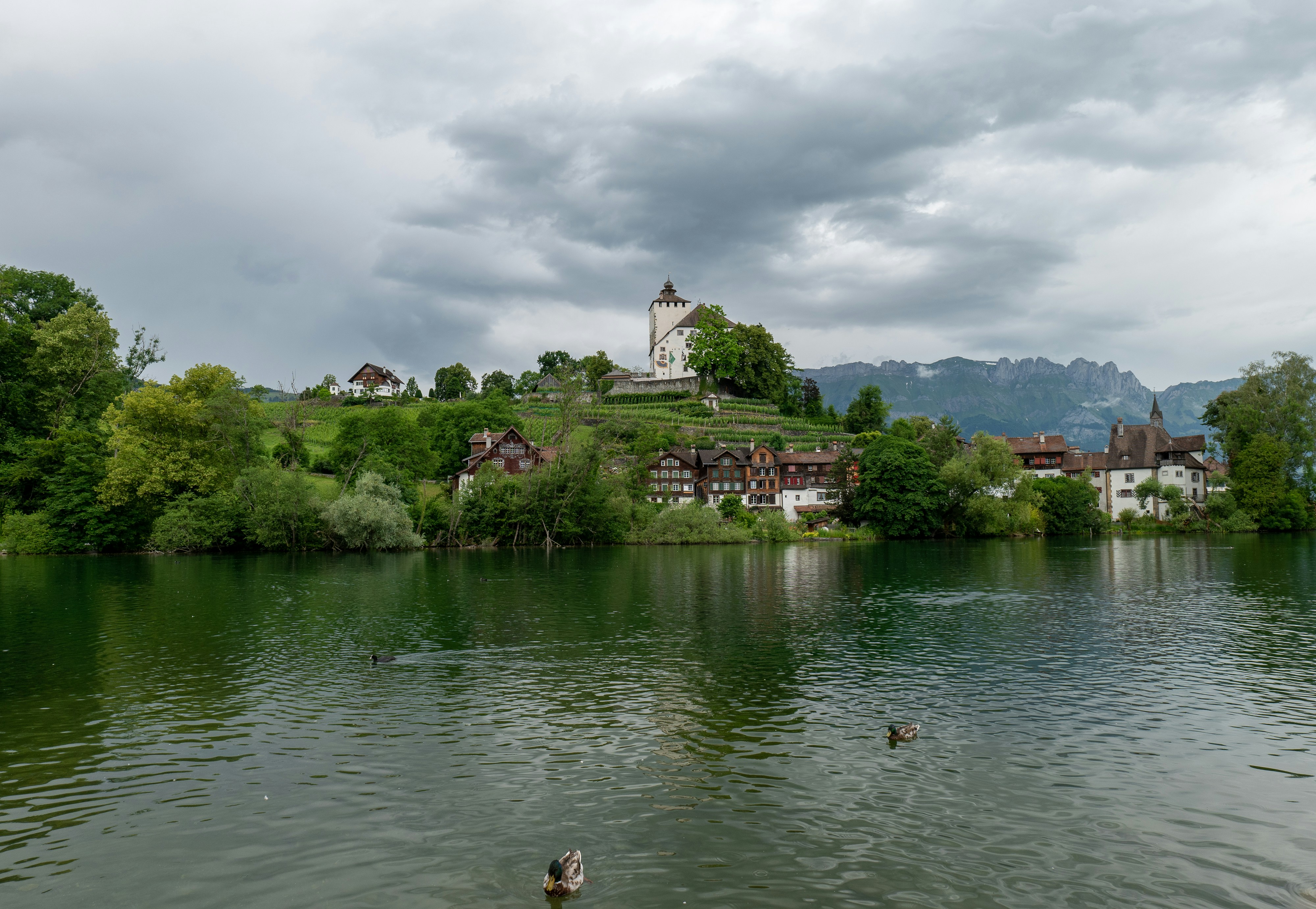 Rollstuhlgerechte Häuser in der Schweiz und Baden-Württemberg: Anforderungen und Lösungen