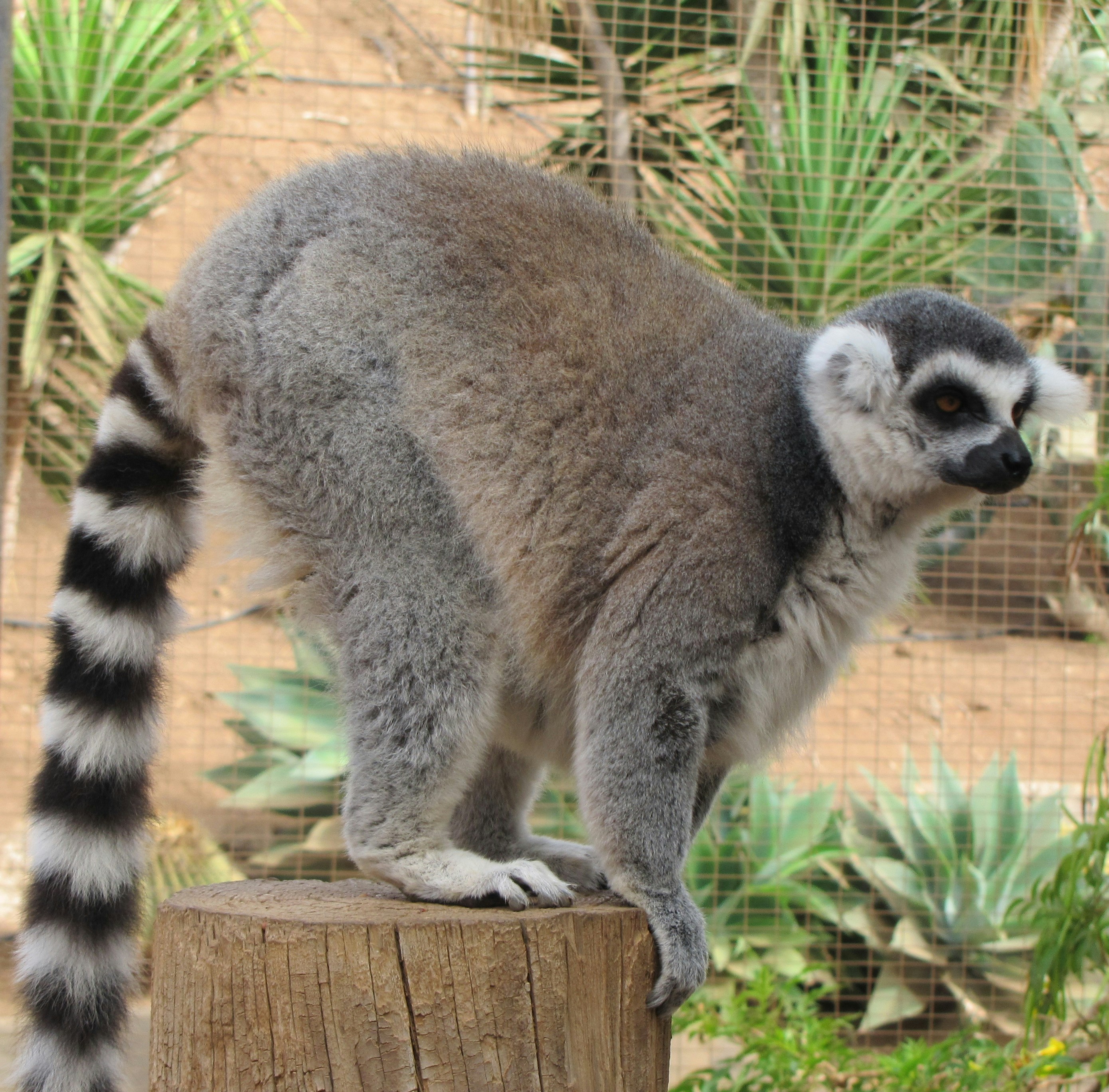 Photo by jackie_ford50