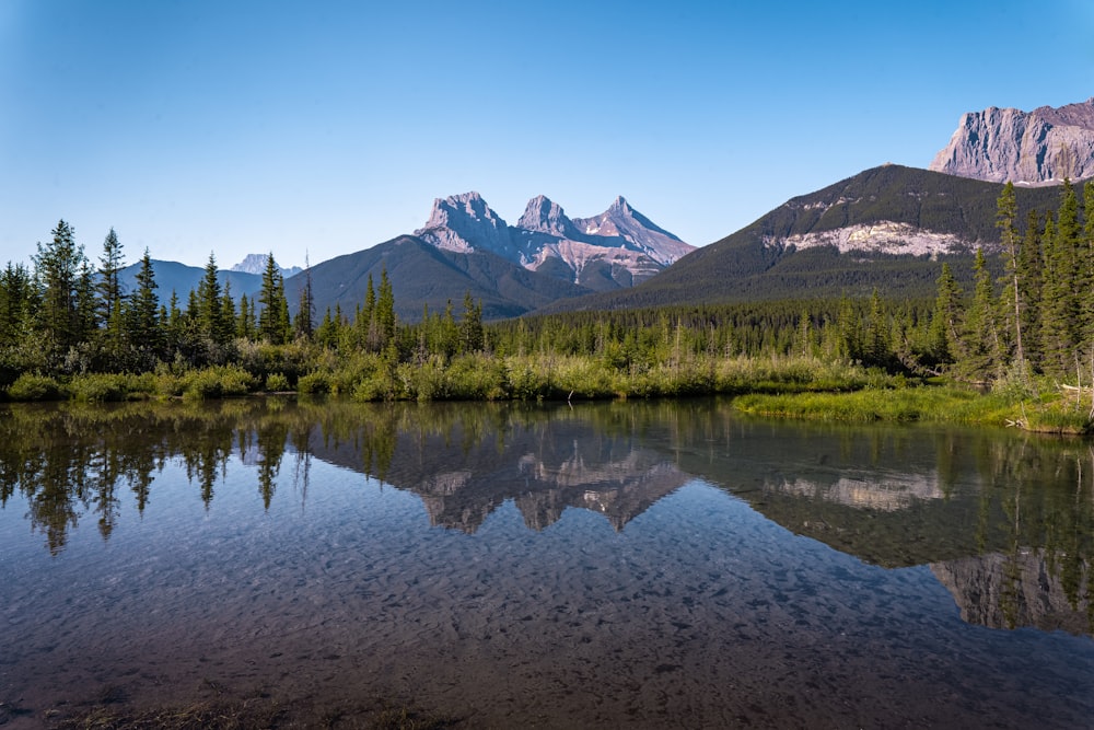 green trees near lake and mountain under blue sky during daytime