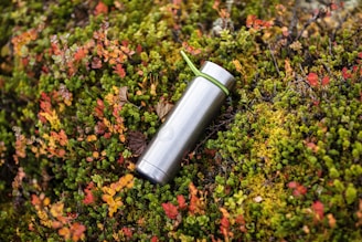 black and silver tube on green plant