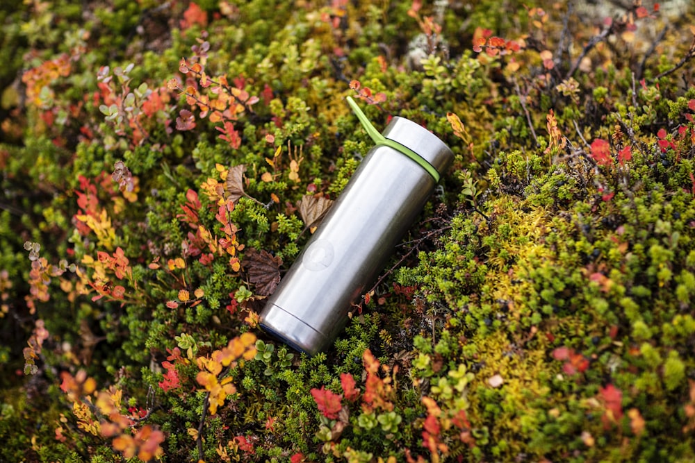 black and silver tube on green plant