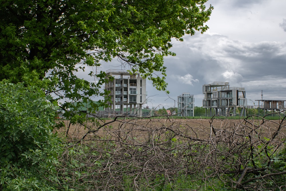 green trees near white building during daytime