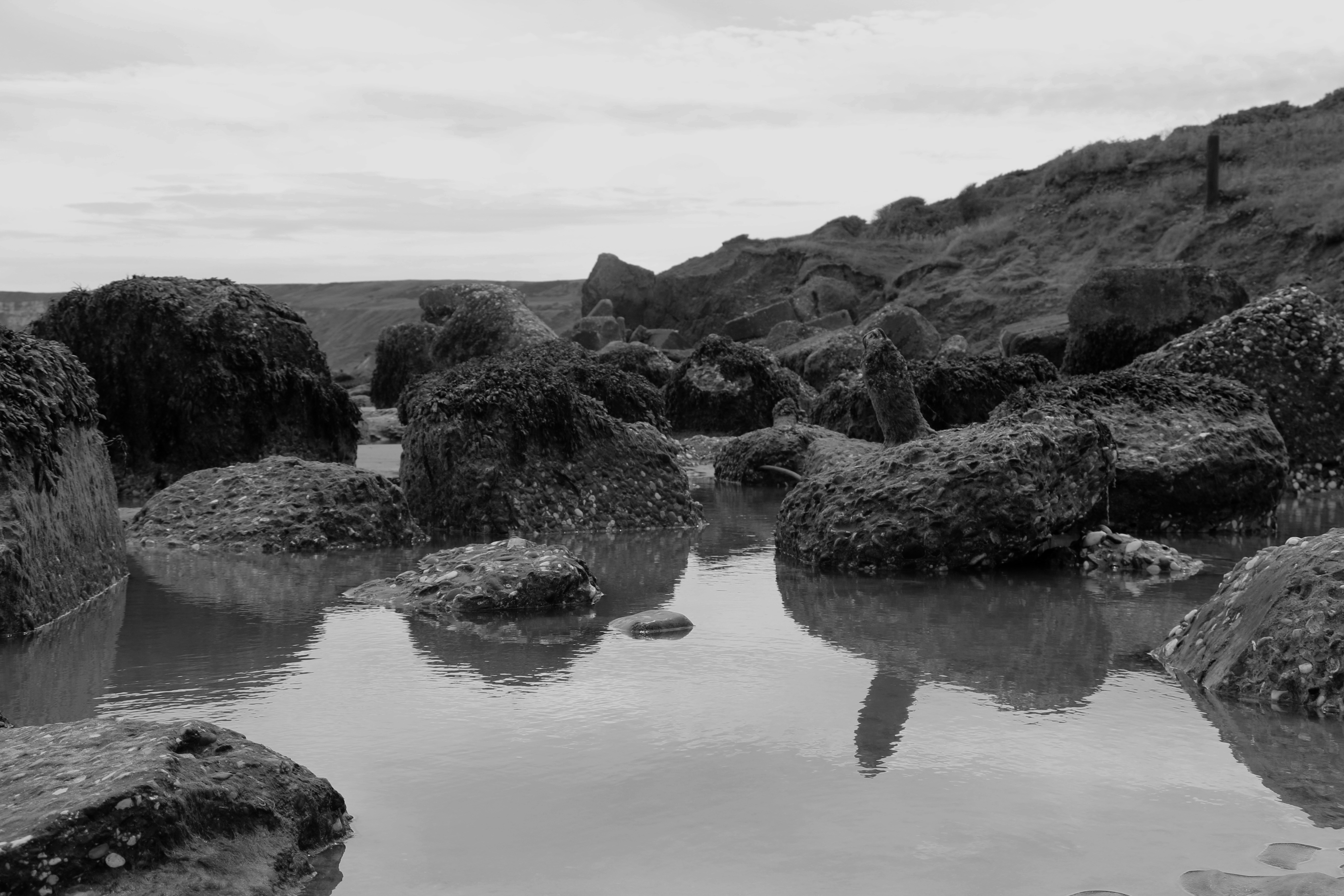 Photo by saskiajohnson