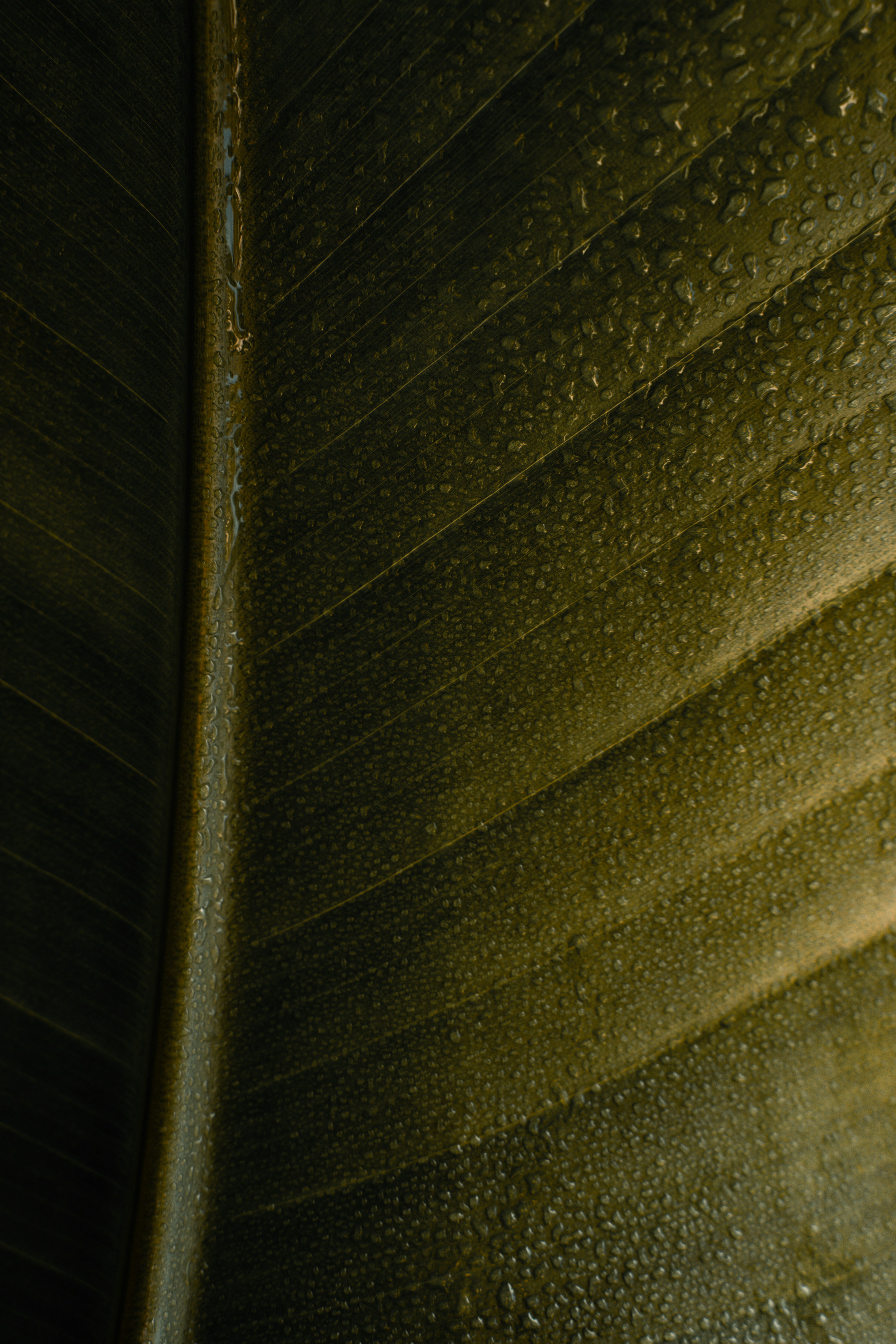 Photo by leandrarieger