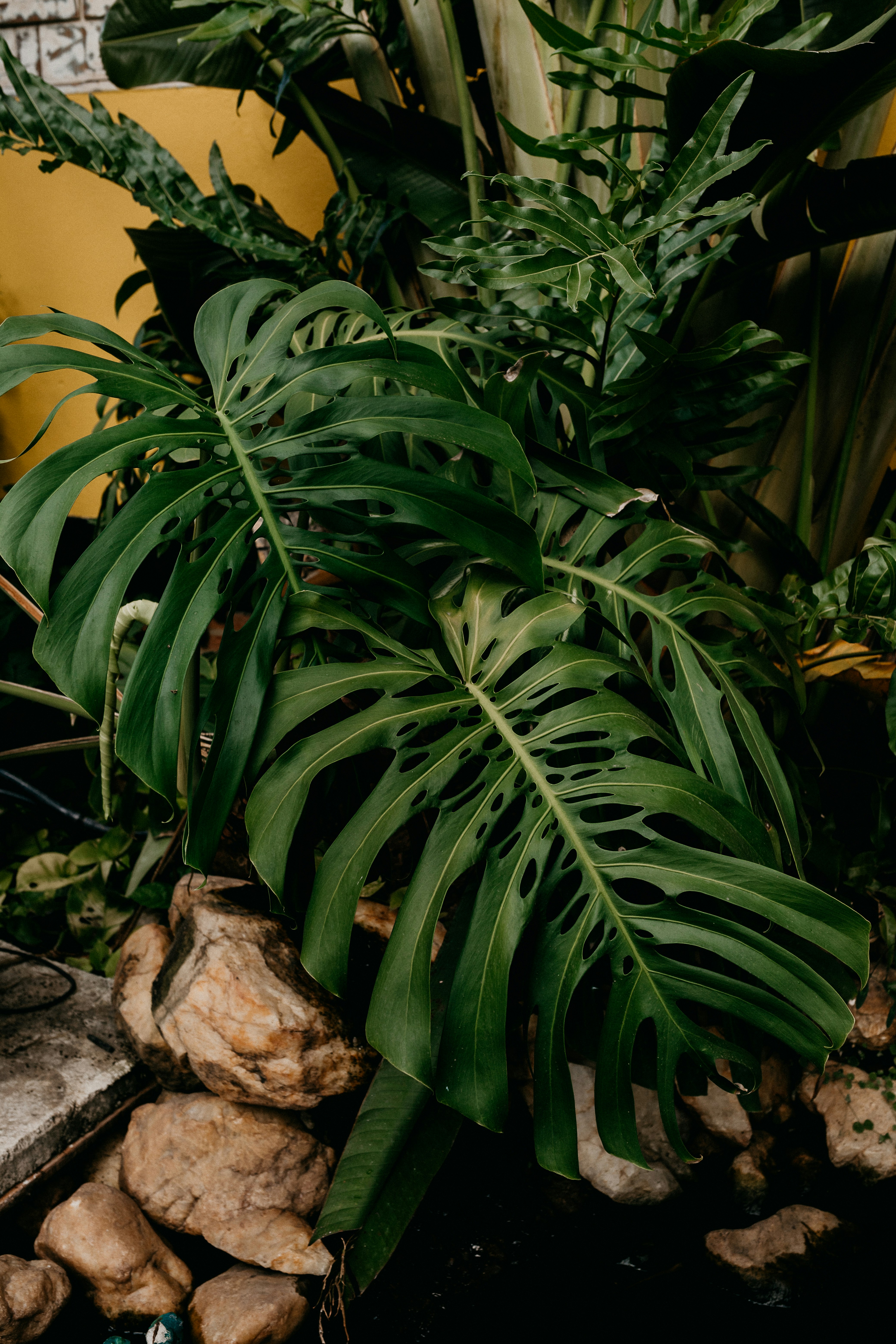 Photo by vitormonthay