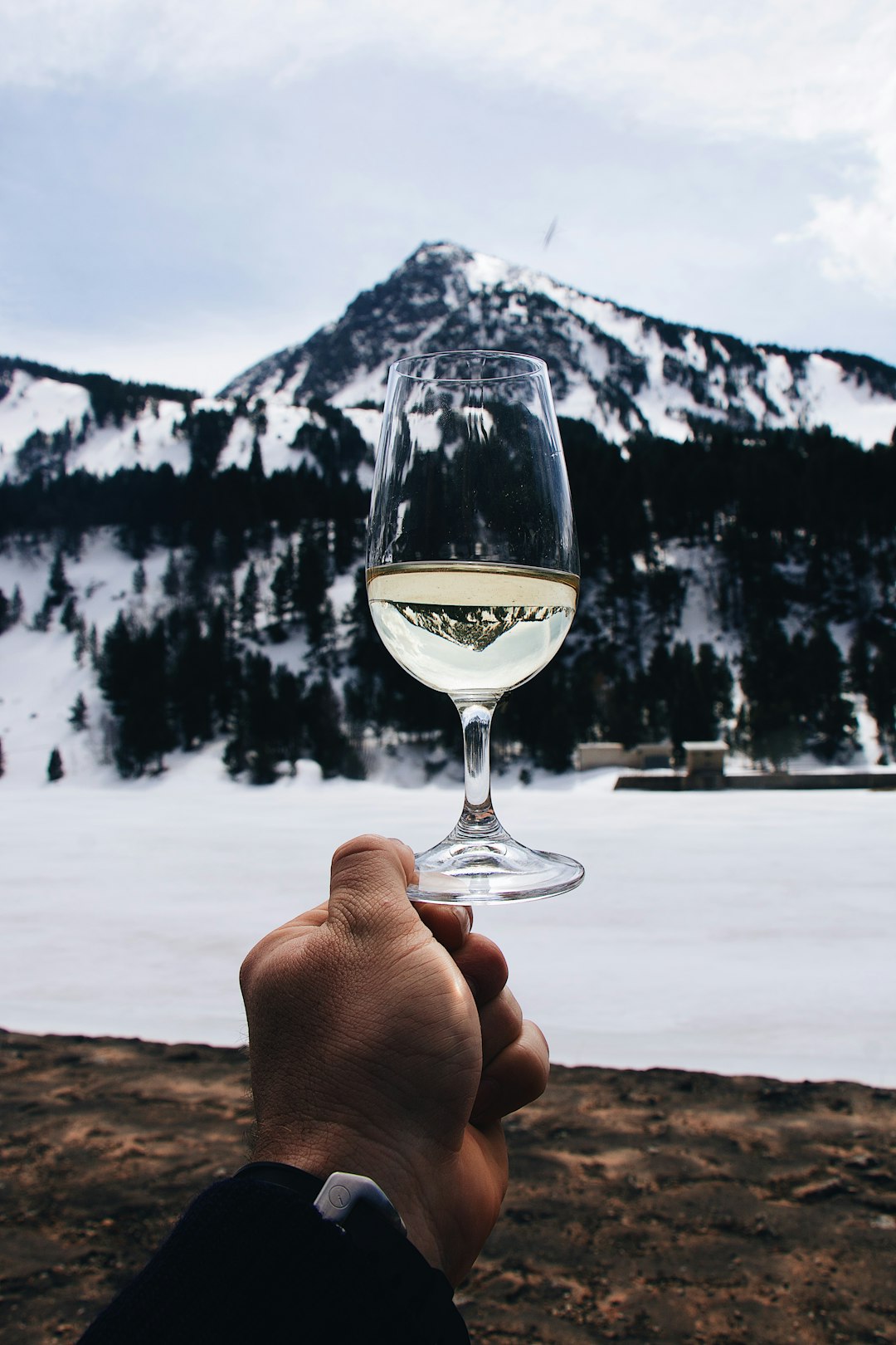 person holding clear wine glass with white liquid