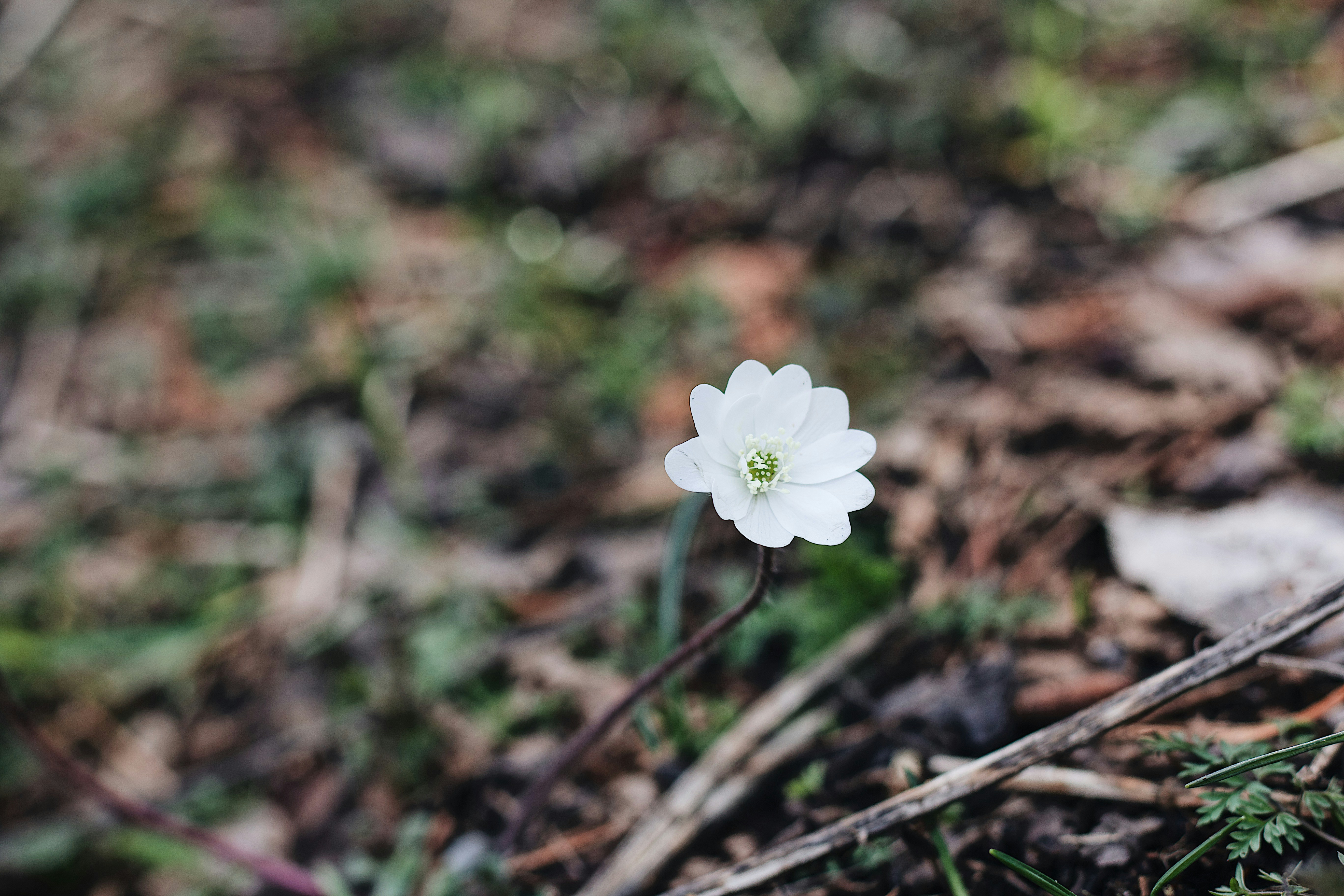 Photo by mael_balland