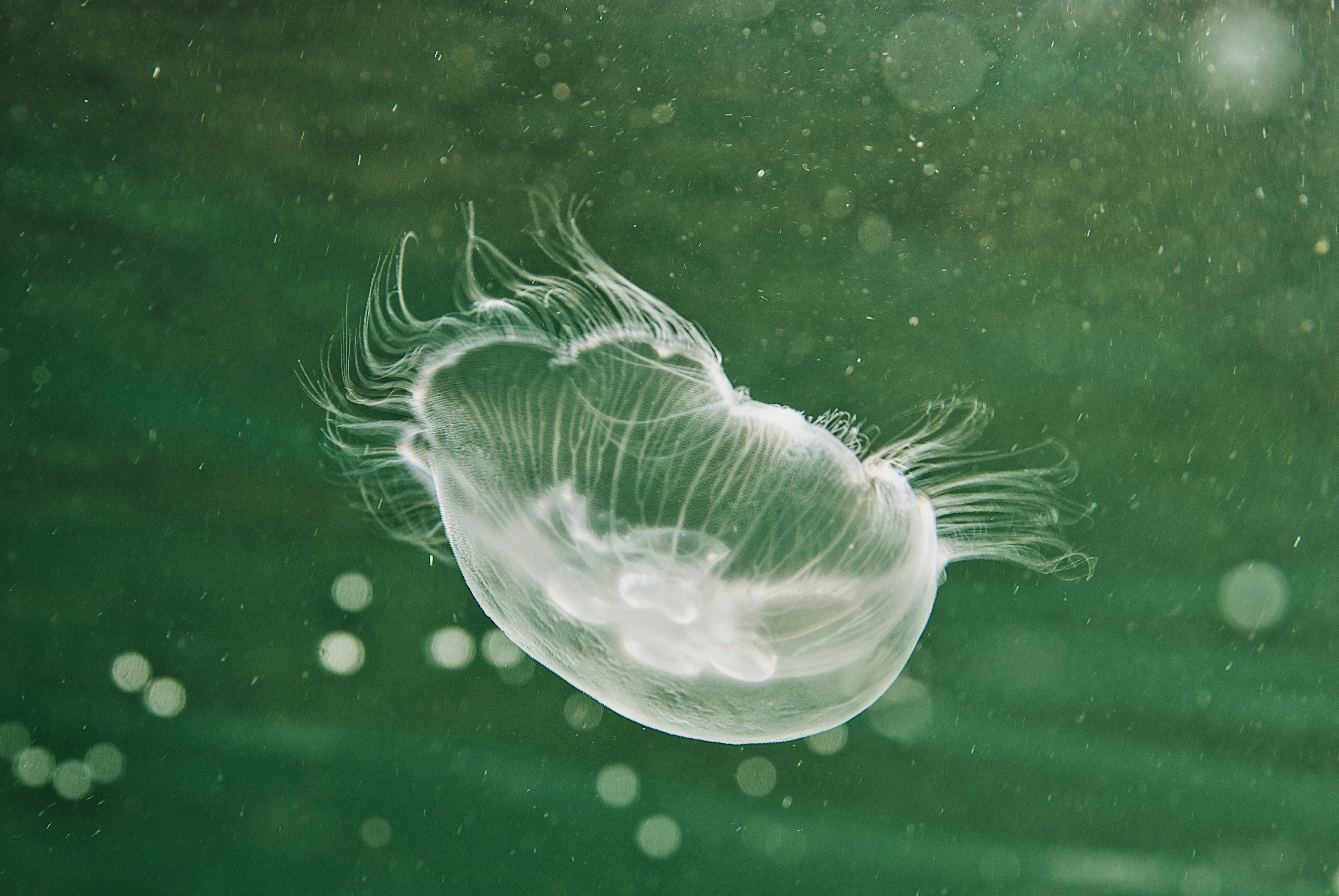 Photo by mael_balland