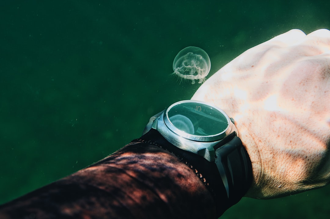 person wearing black leather strap watch