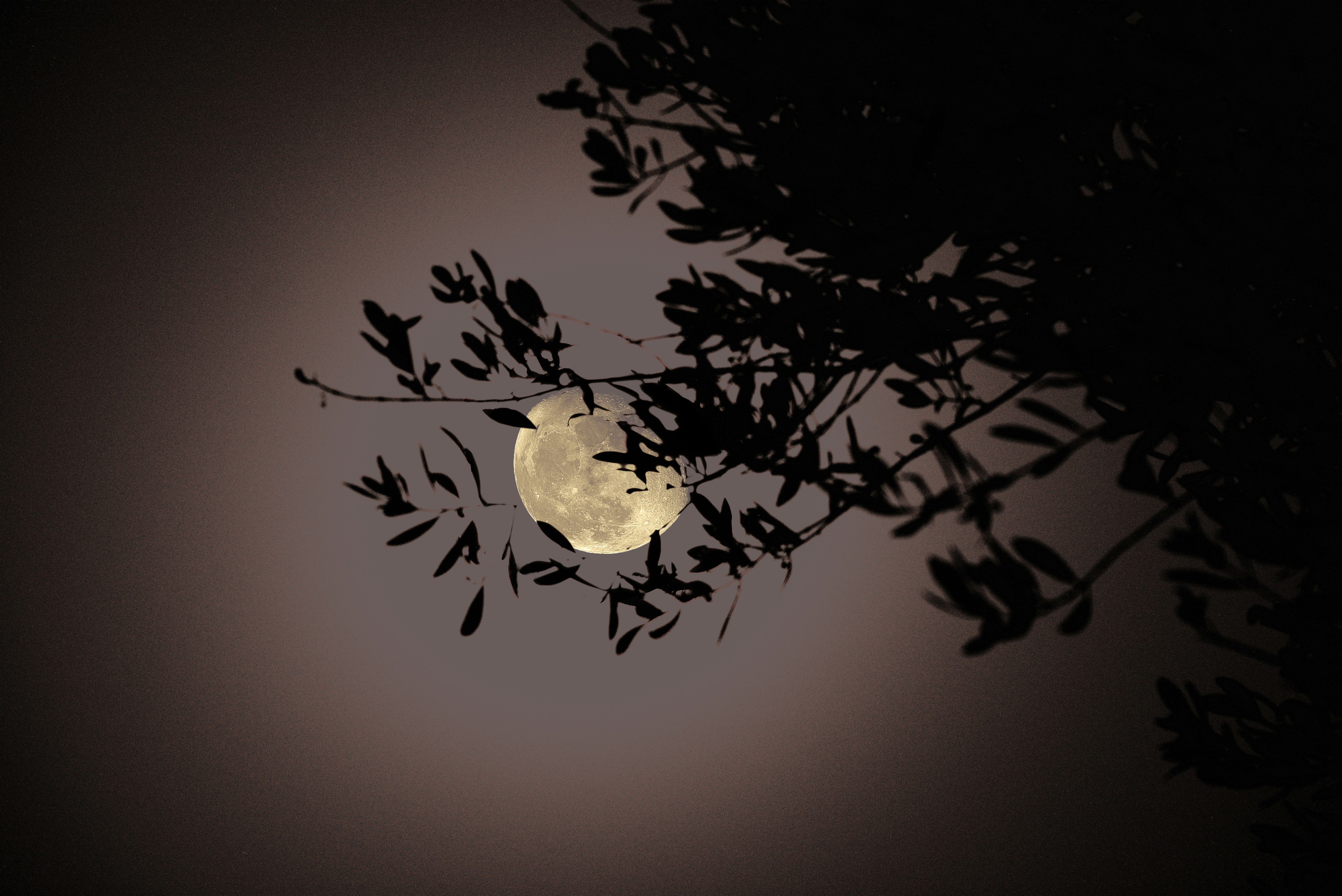 Photo by matteo_grassi