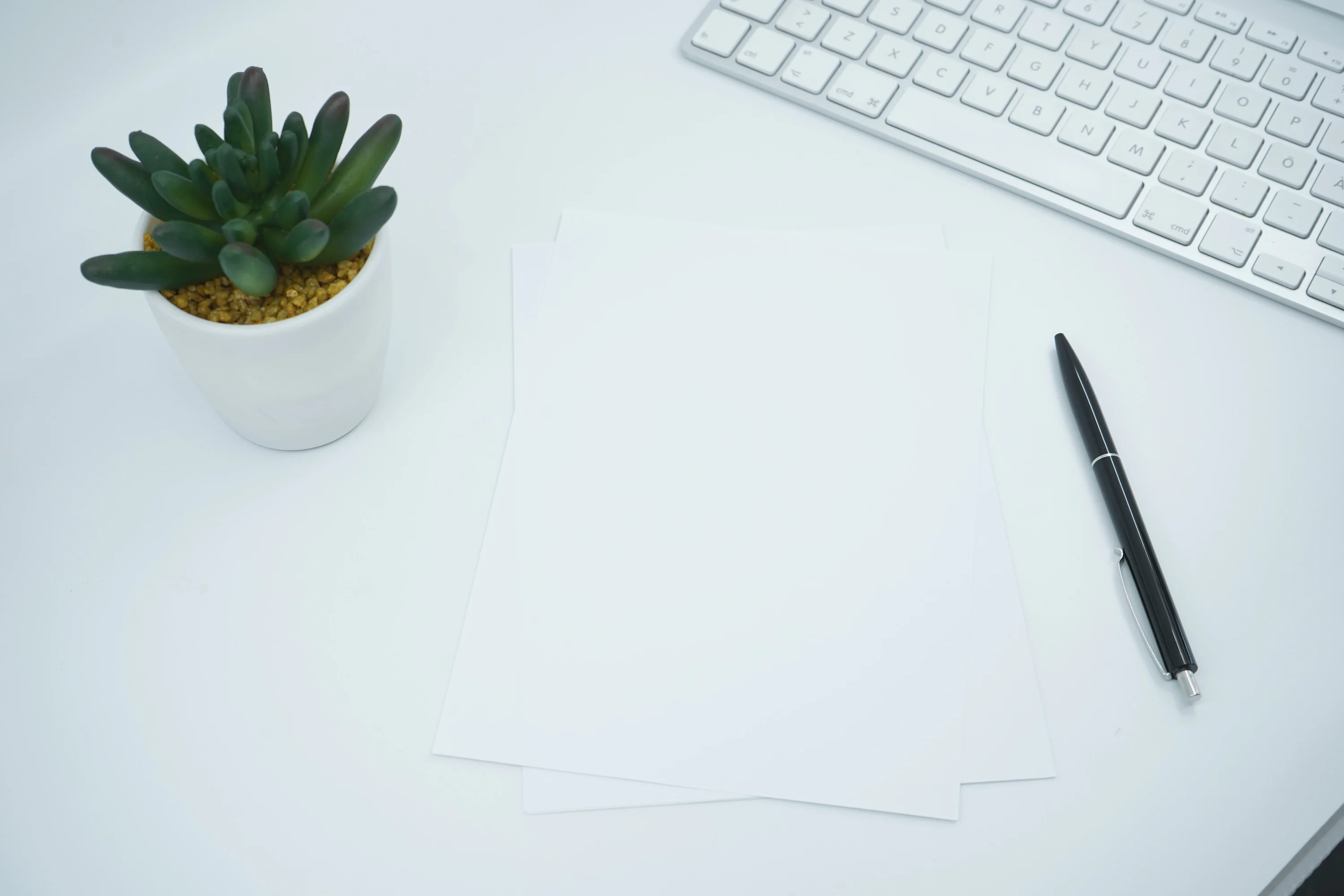 Contractul de afiliere Uber si Bolt pentru ARR: de unde il obtii si ce verifici green cactus plant on white table
