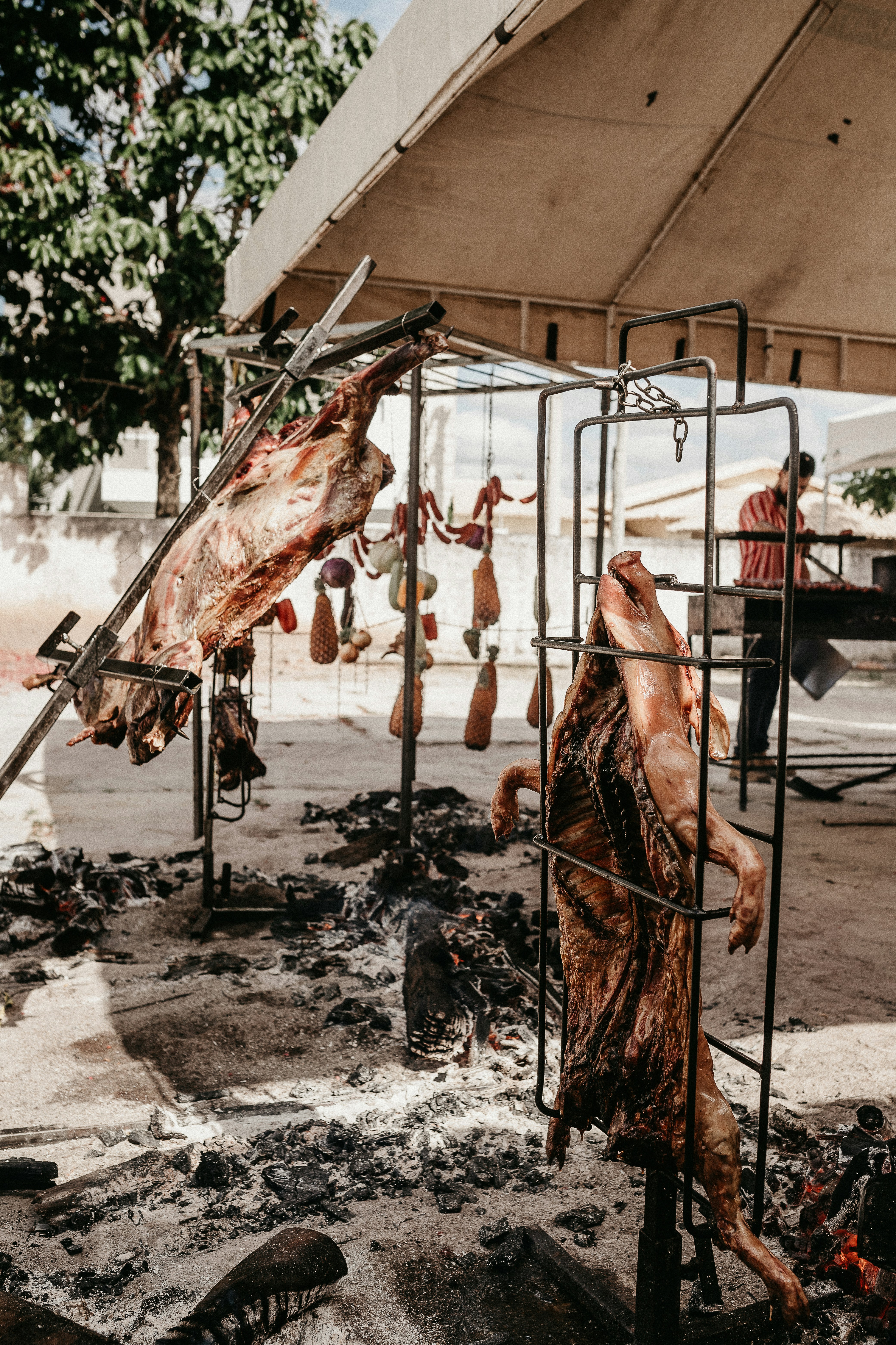 Essential Cuts and Meats: A Carnivore's Guide