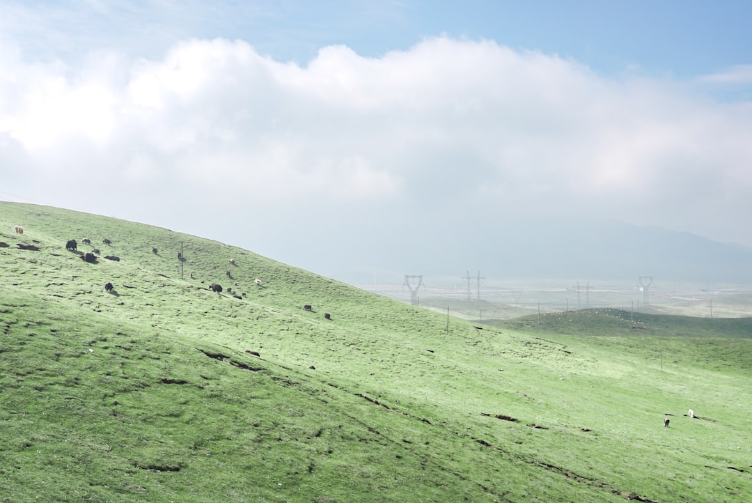 green grass field under white clouds during daytime