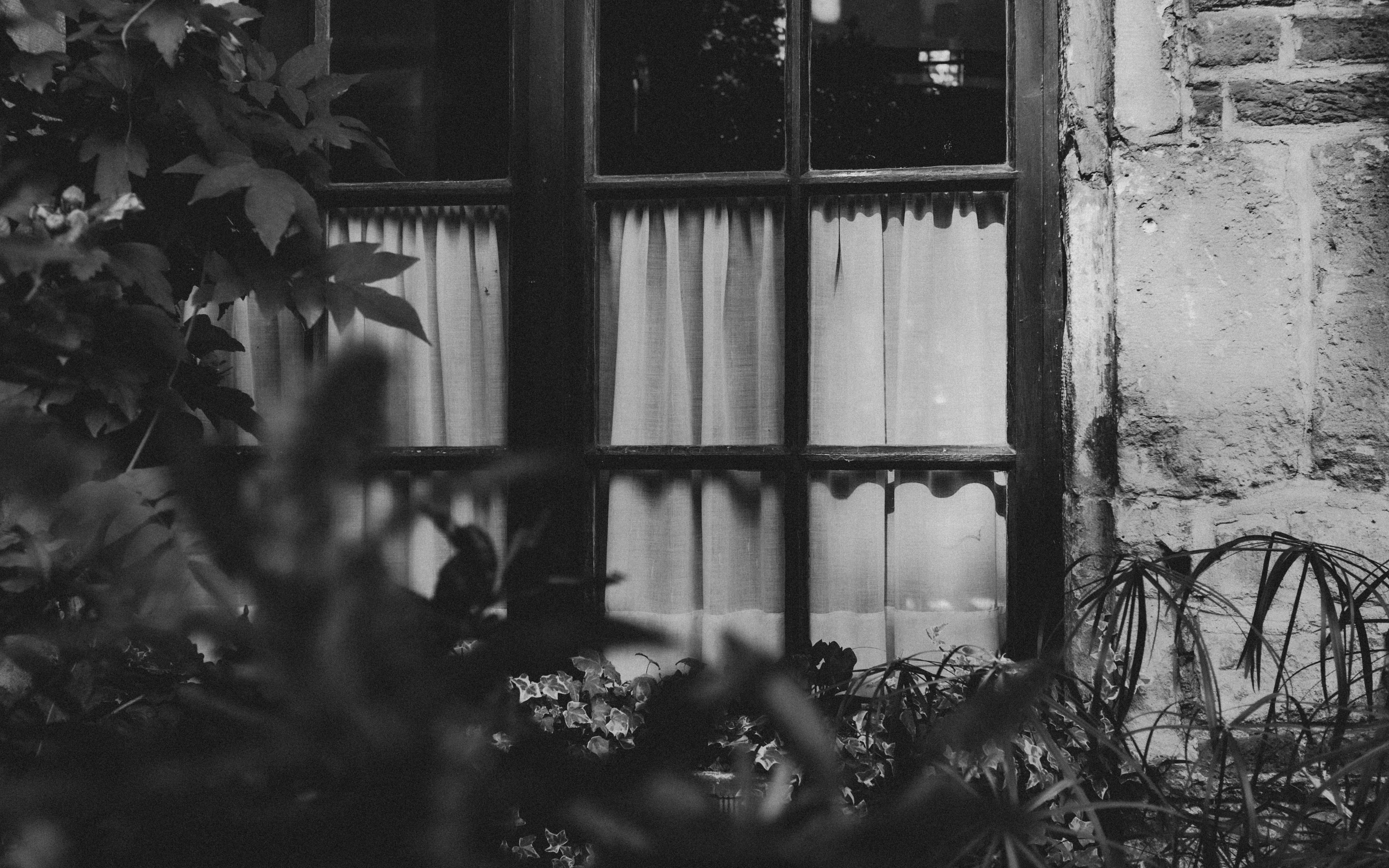 Photo by moisamihai092