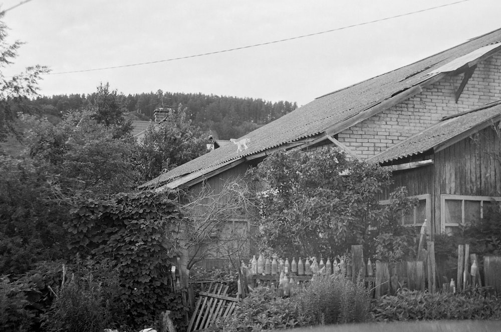 grayscale photo of house surrounded by trees