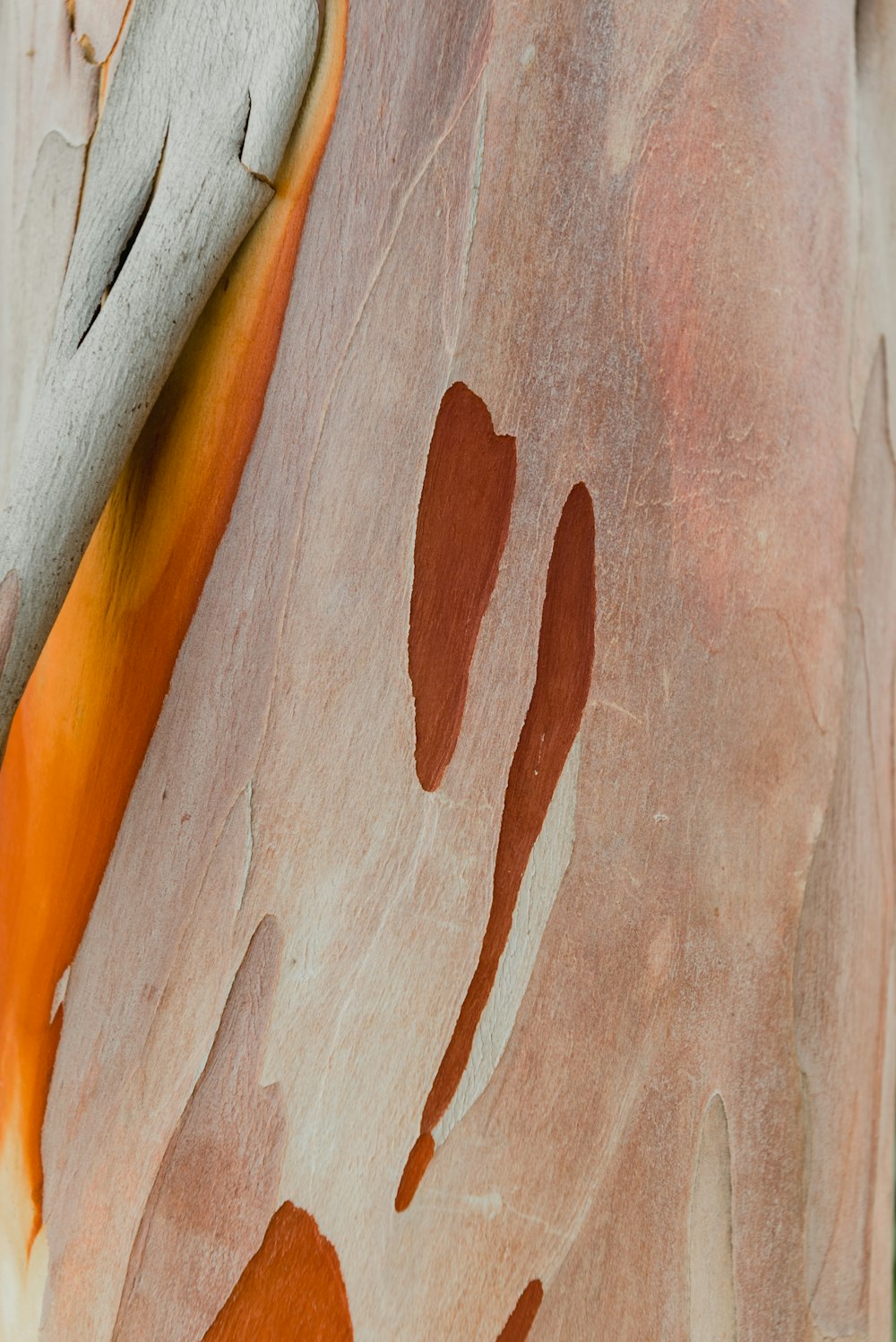 brown and white wooden surface