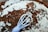 A close-up view of a whisk mixing dry cocoa powder with flour, creating a rustic, textured surface. The mixture appears partially combined, with visible clumps and streaks of unmixed powder. The background shows a blurred, earthy color palette.