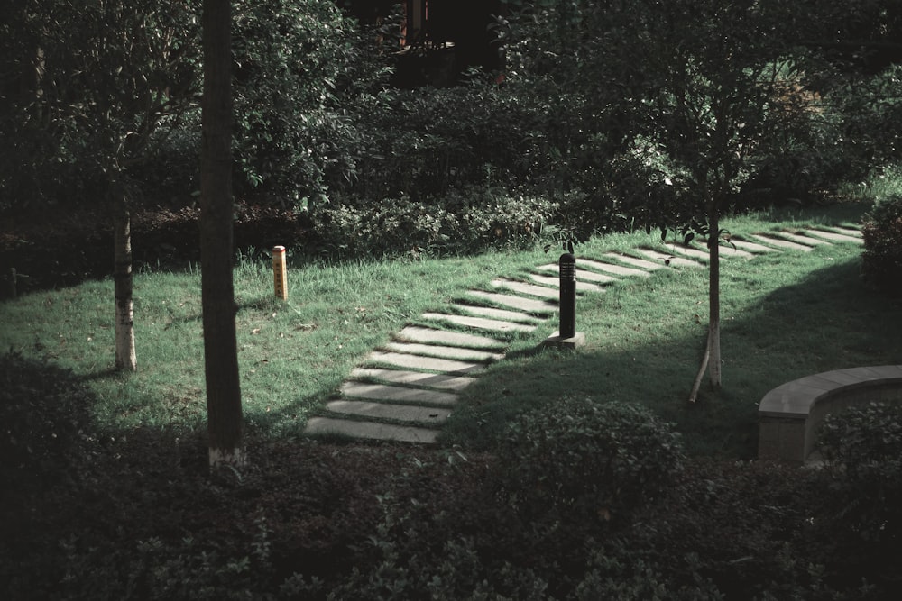 Sentiero in legno marrone circondato da alberi verdi