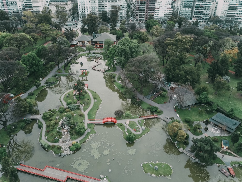 aerial view of green trees and river during daytime