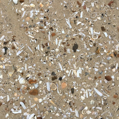 brown and white stones on ground
