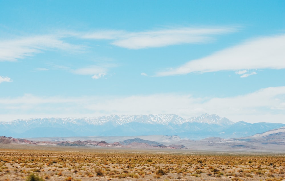 brown field under blue sky during daytime