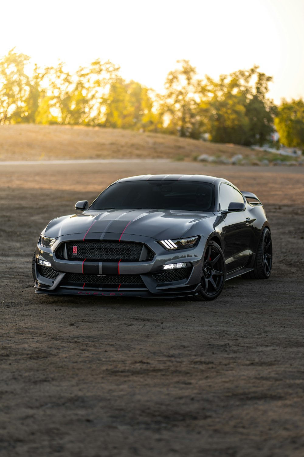 Ford Mustang Shelby Stock Photos - 3,033 Images