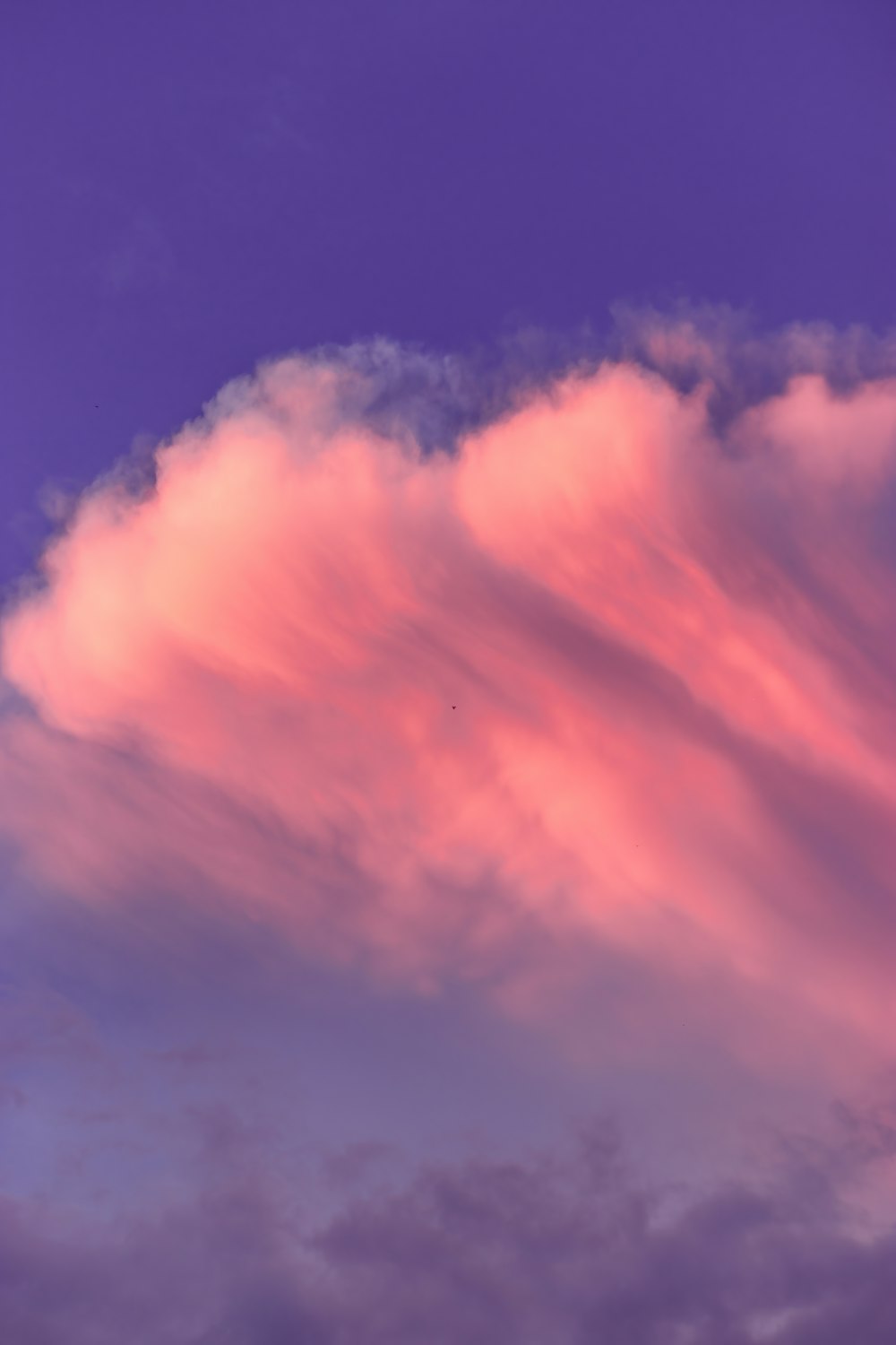 orange and blue cloudy sky