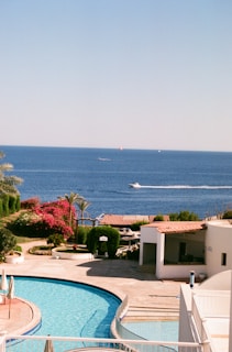 white and blue swimming pool near green trees and body of water during daytime
